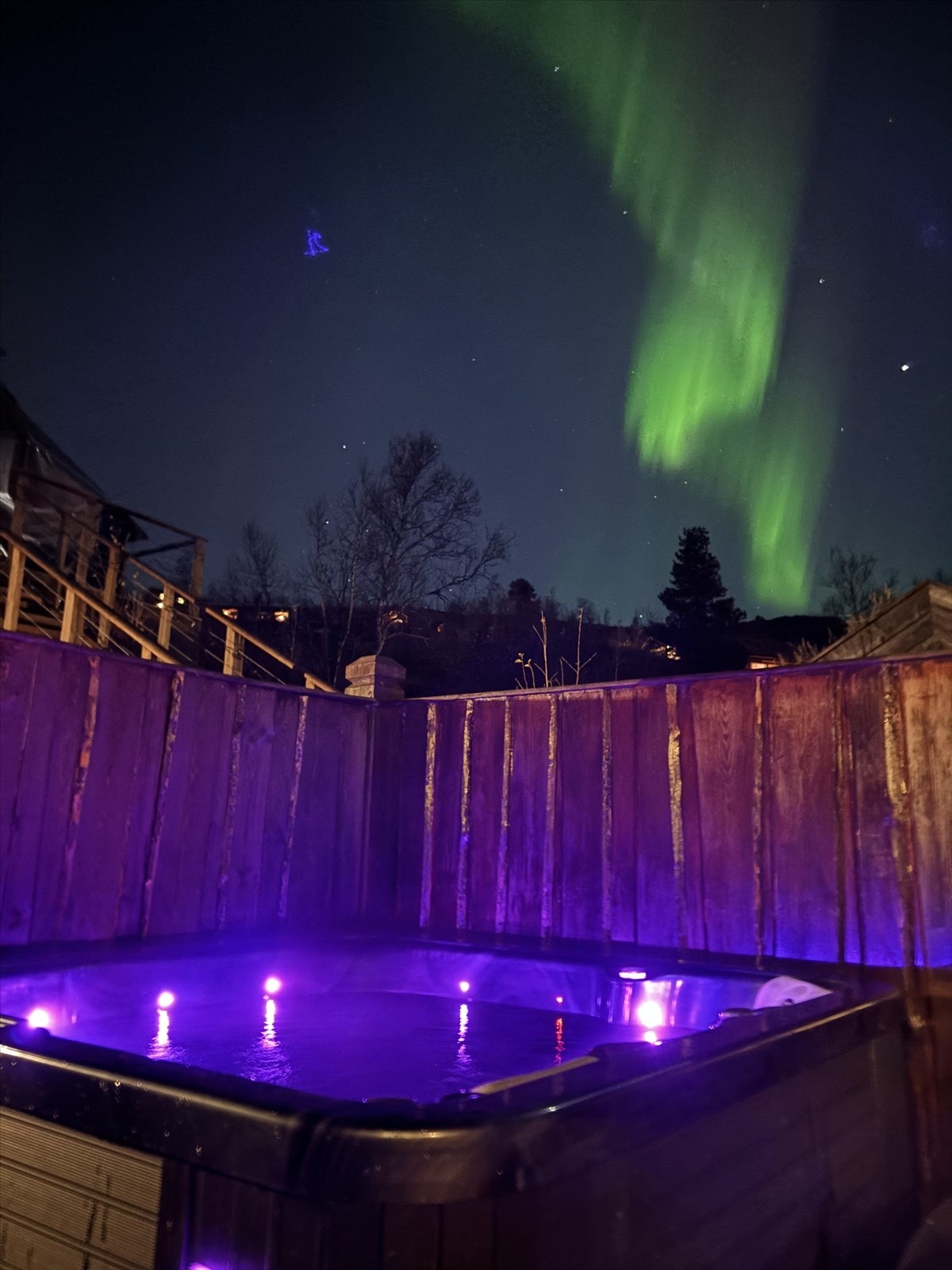 Privat bilde. Galleribilde