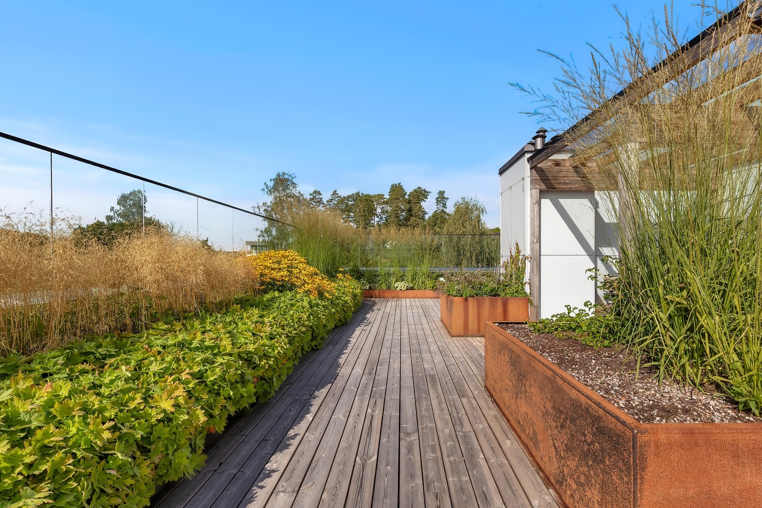 Felles takterrasse opparbeidet som en frodig oase. Galleribilde