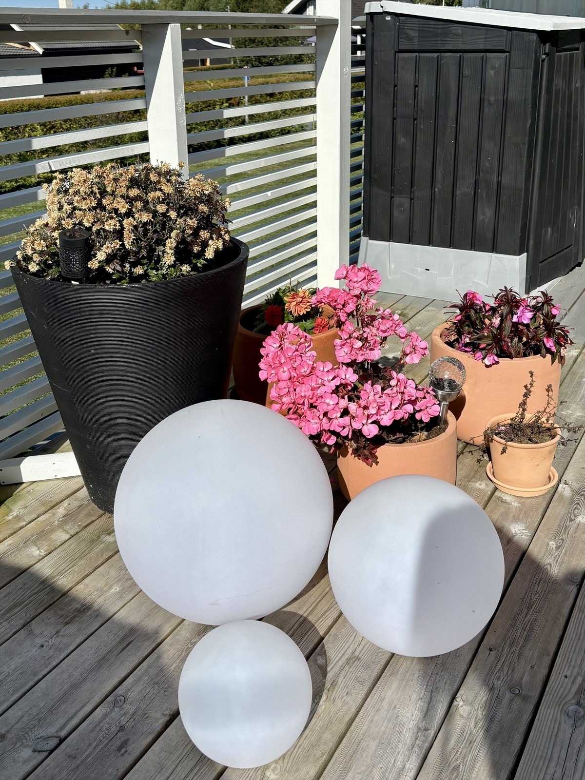 Veranda Galleribilde