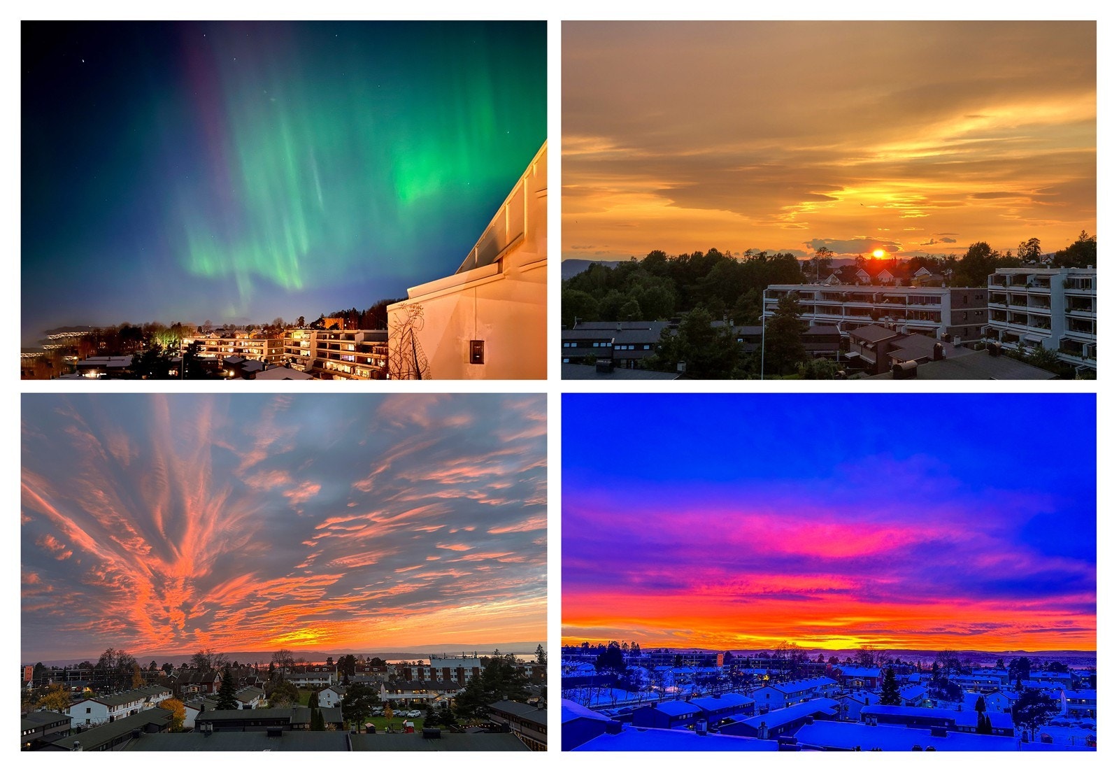 Selgers privat bilder Galleribilde