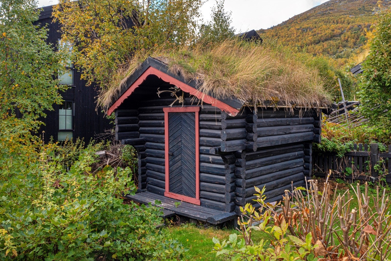 Frittstående stabbur i hjørnet av tomten mot nordvest Galleribilde