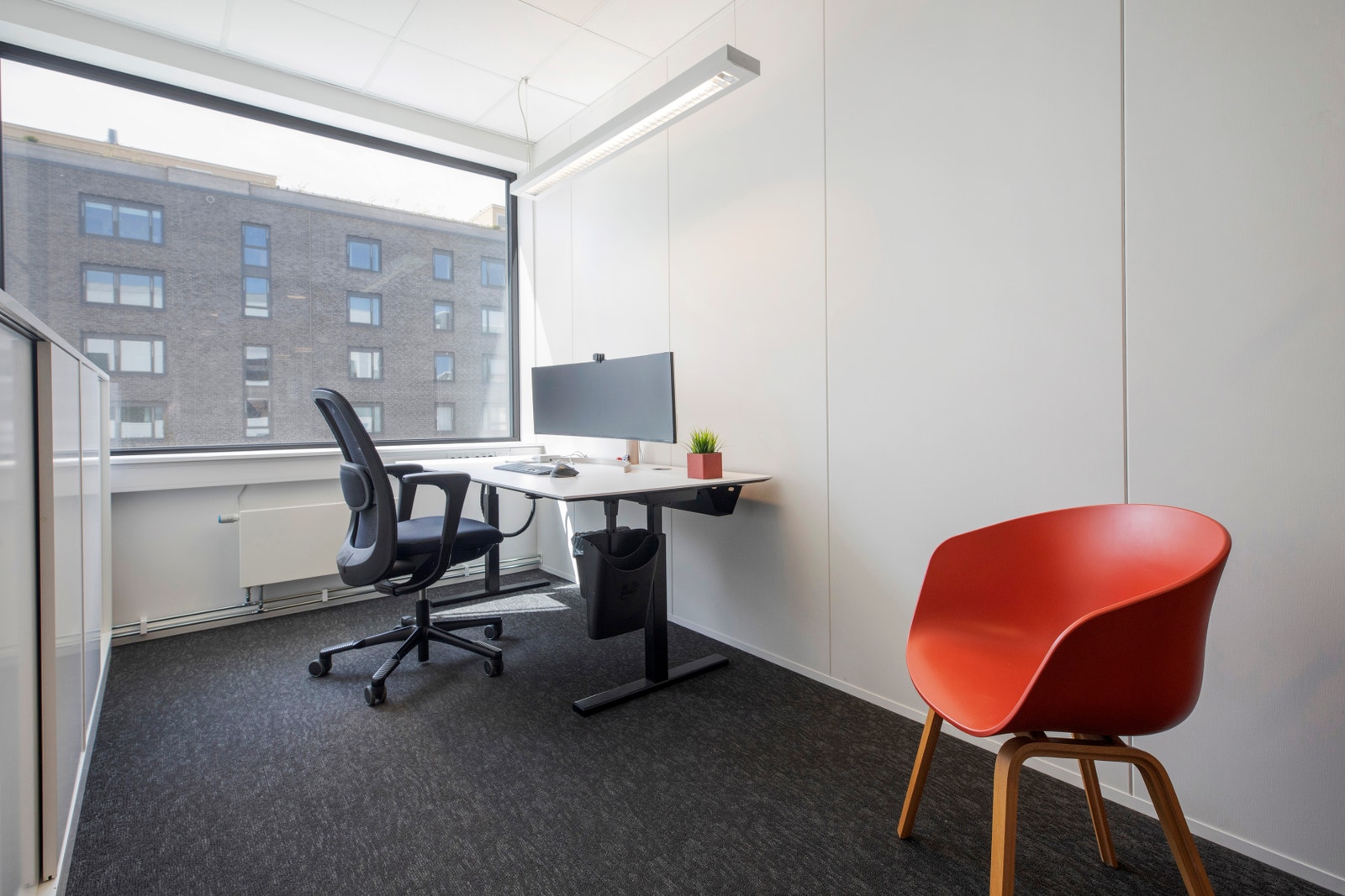 Bilder fra nabolokalet. Galleribilde