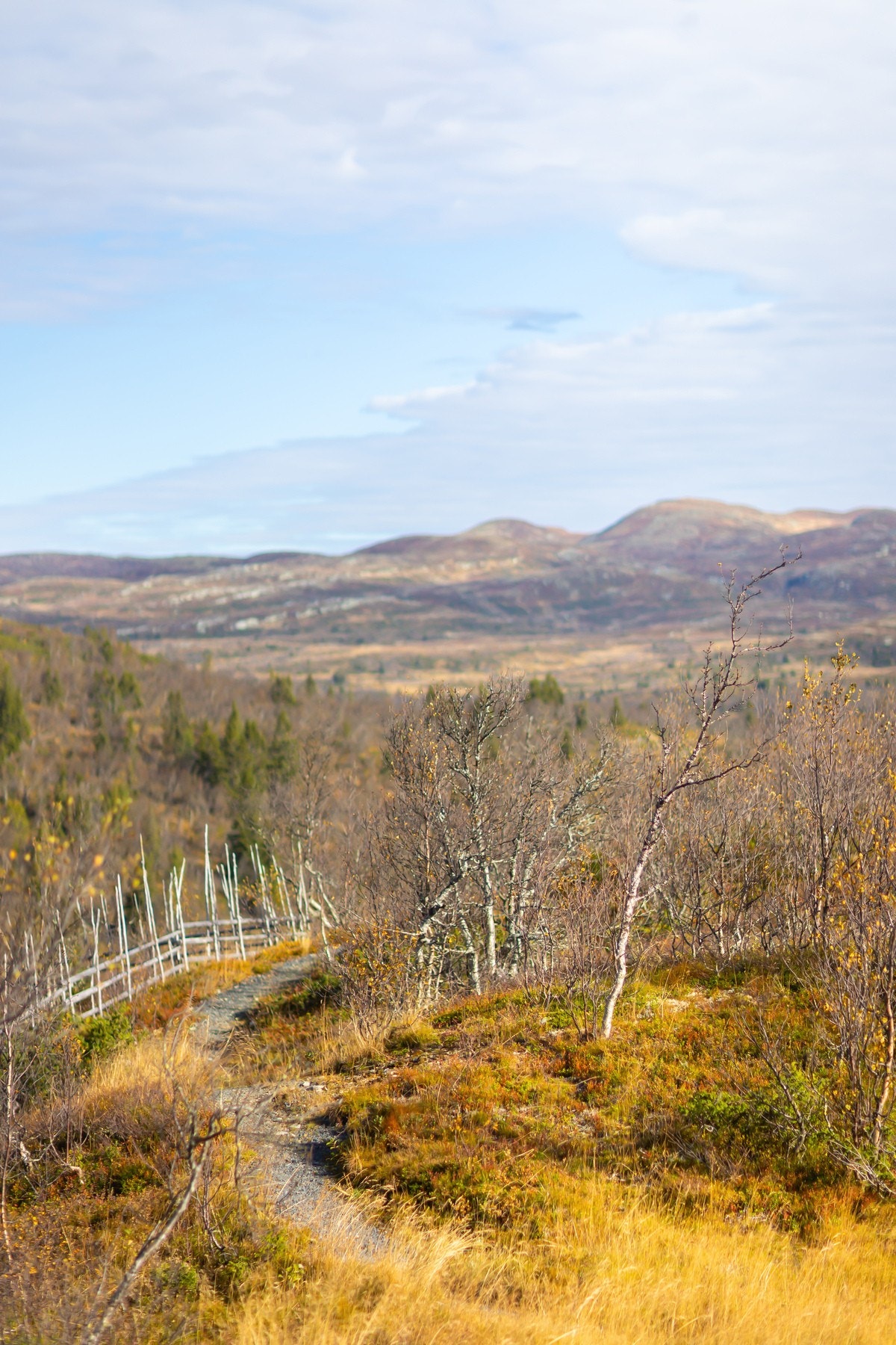 Turen starter på hyttetrappa og du kan følge turstiene like i nærheten videre oppover i fjellet. Galleribilde