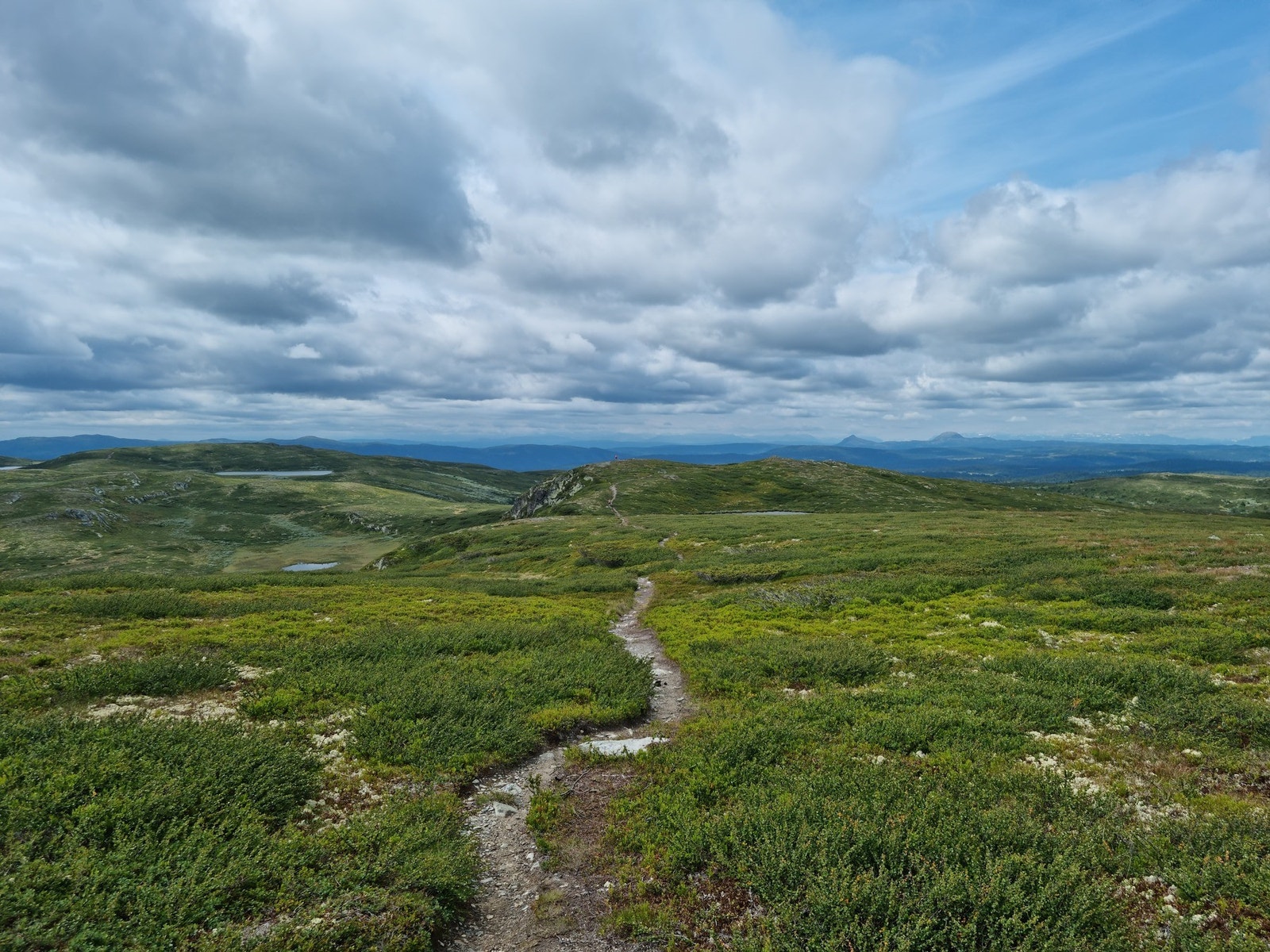 Selgers egne bilder Galleribilde