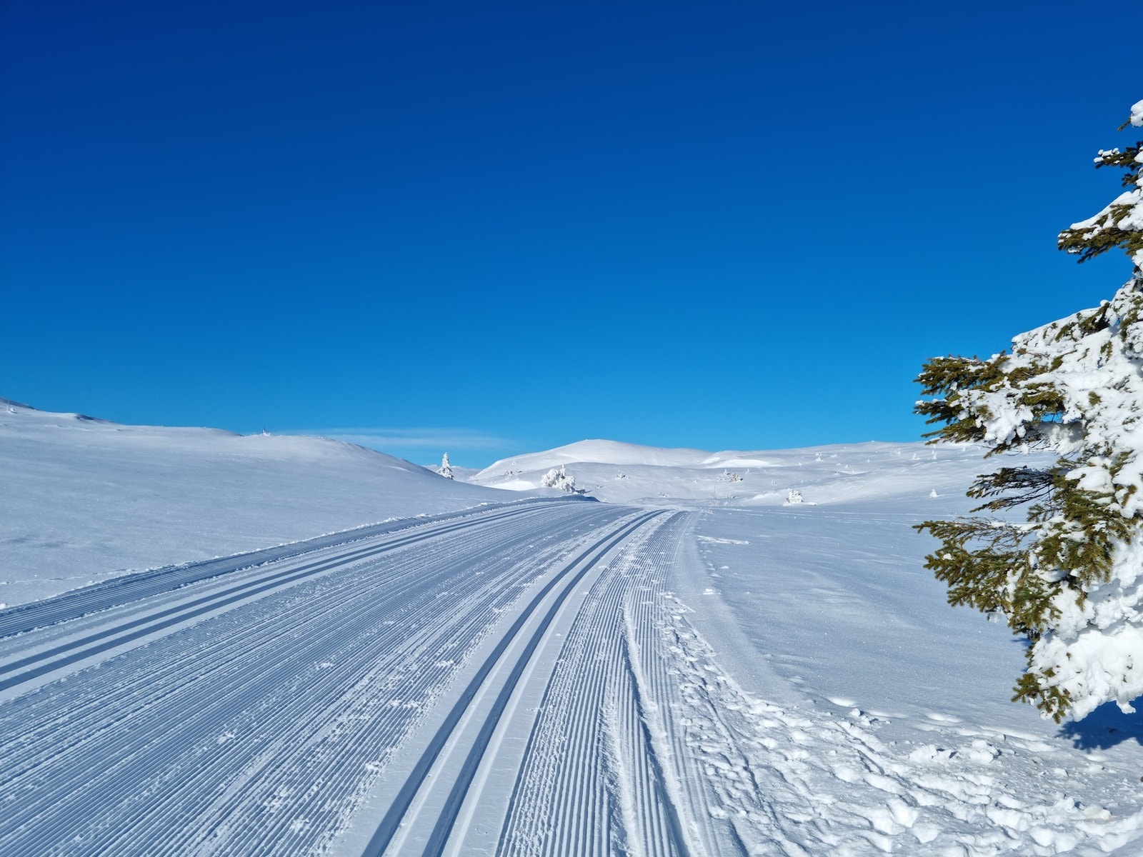 Selgers egne bilder vinterstid Galleribilde