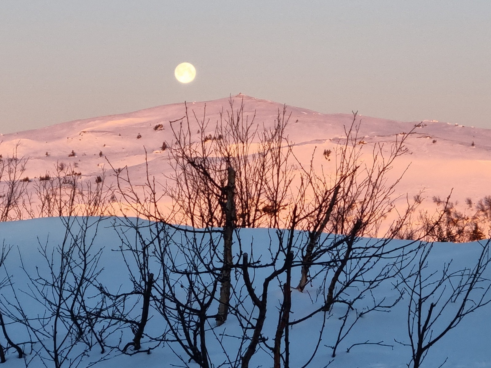 Bilde fra stuevinduet mot Spåtind. Selgers egne bilder vinterstid Galleribilde