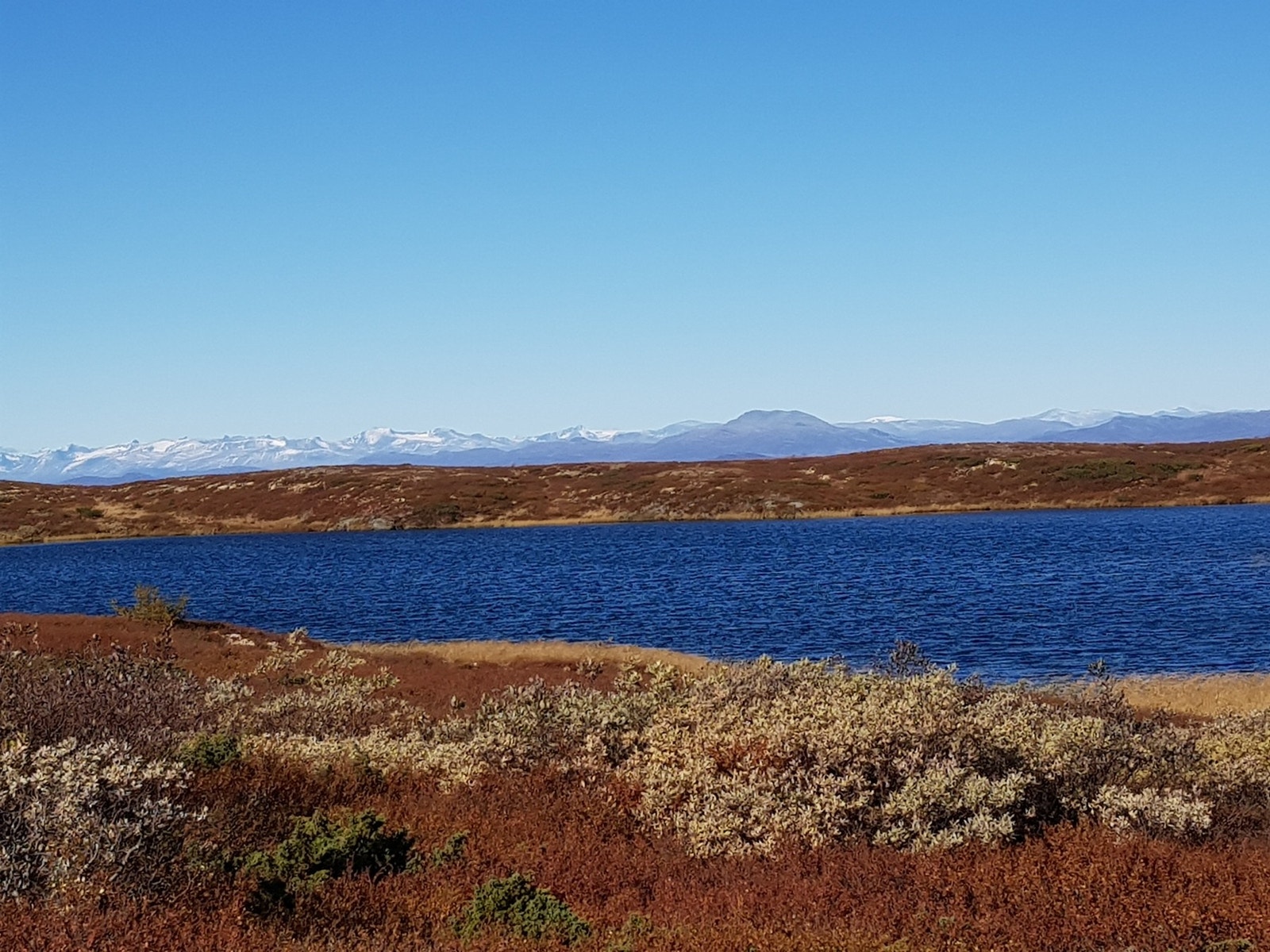 Selgers egne bilder Galleribilde