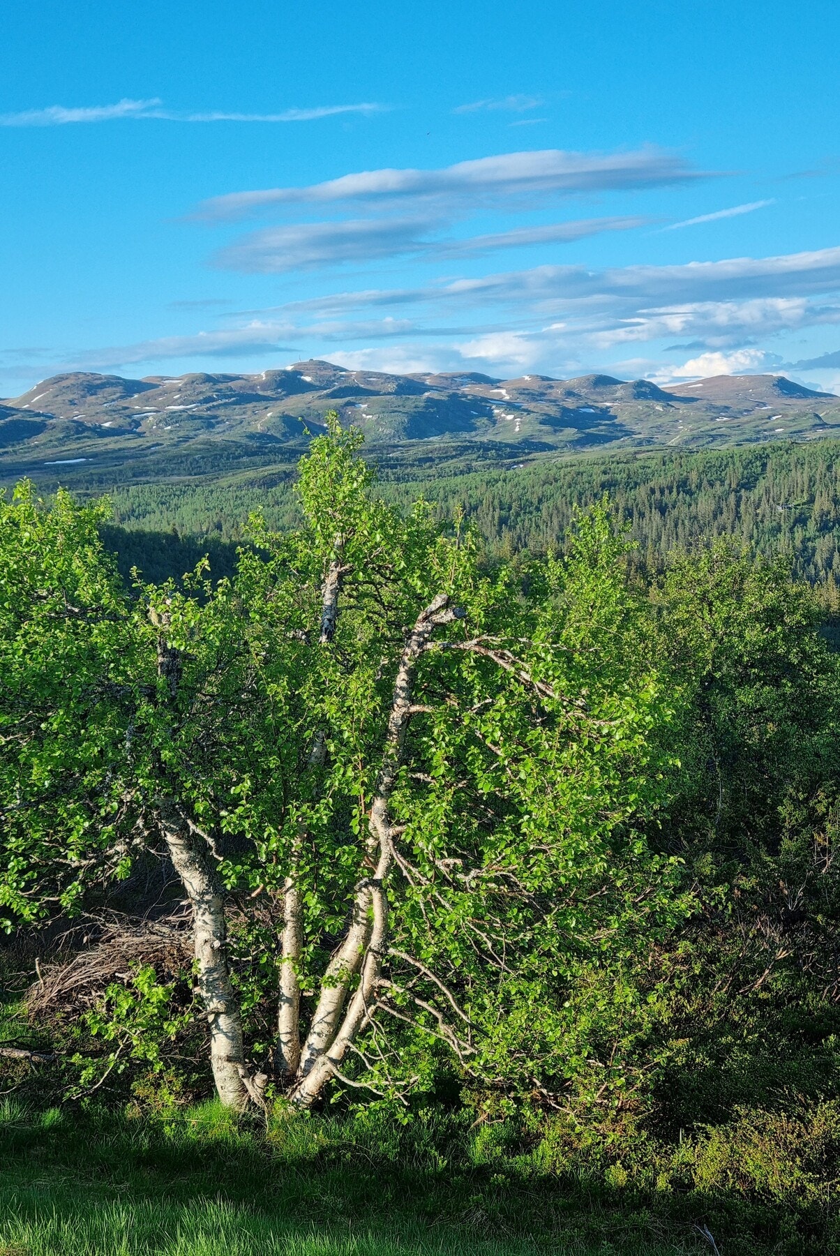 Bilde fra stuevinduet mot Spåtind. Selgers egne bilder Galleribilde
