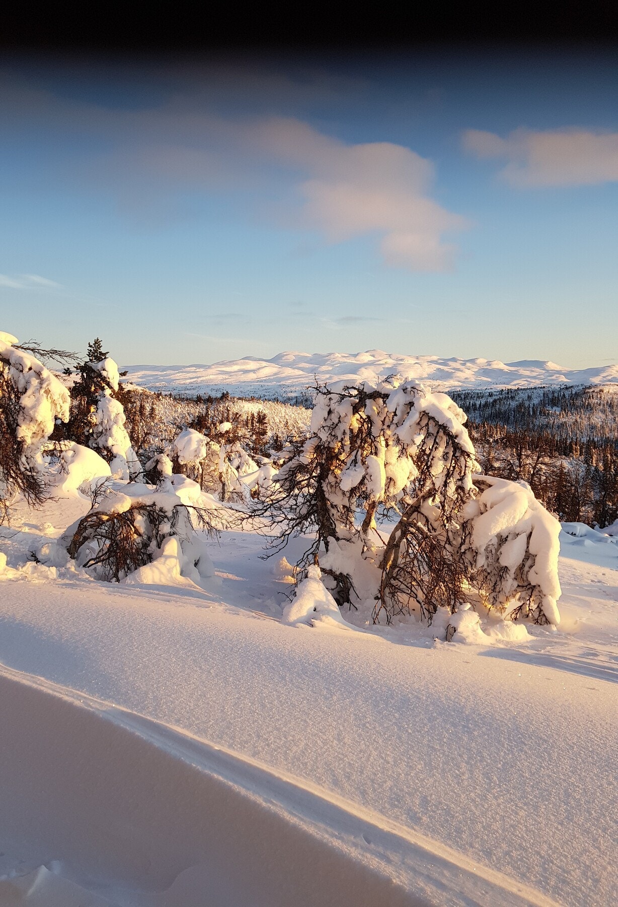 Bilde fra terrassen. Selgers egne bilder Galleribilde