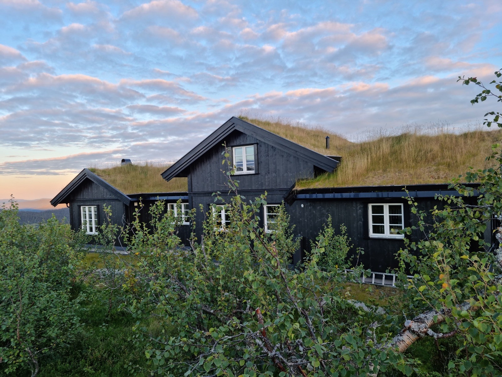 Selgers egne bilder Galleribilde