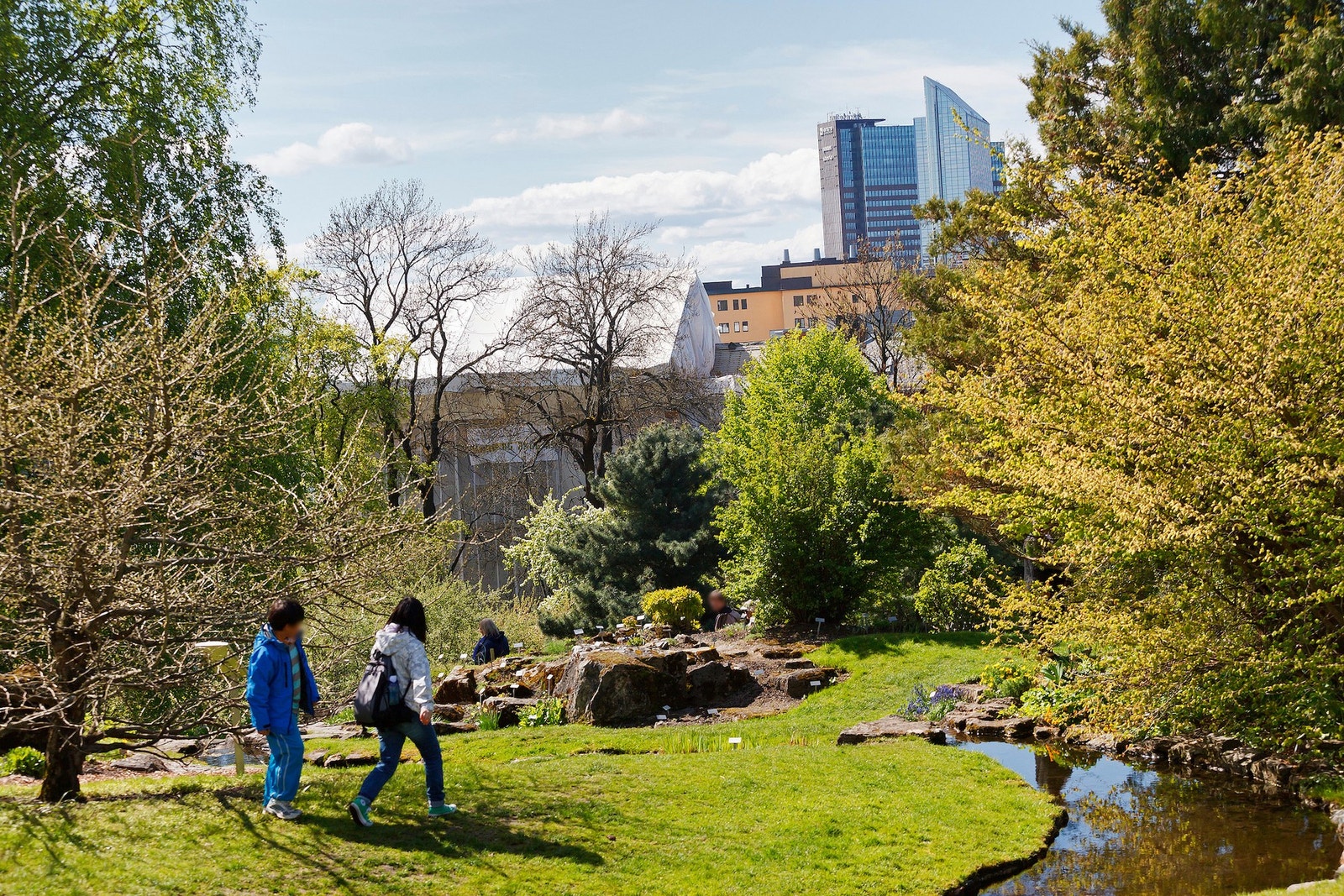 Botanisk hage rett utenfor døren byr på grøntområder og rolig natur midt i byen. Galleribilde
