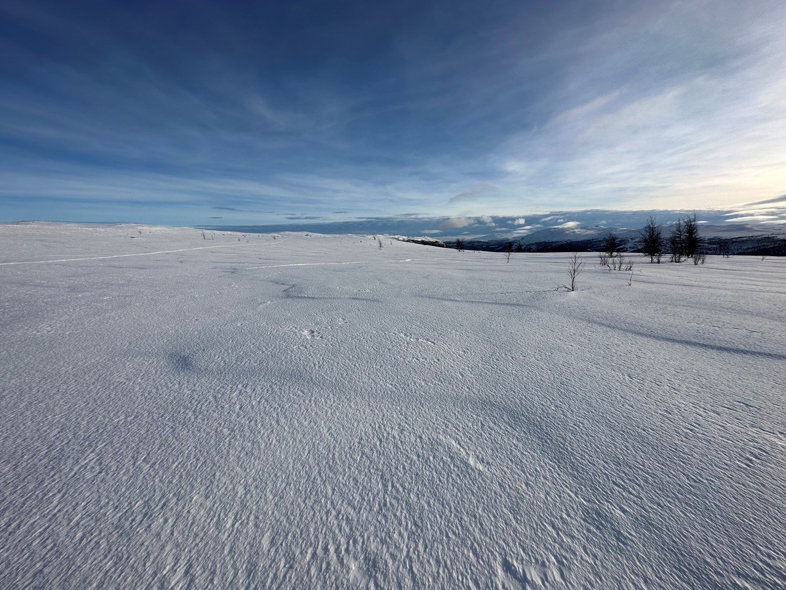 Nærområde Galleribilde