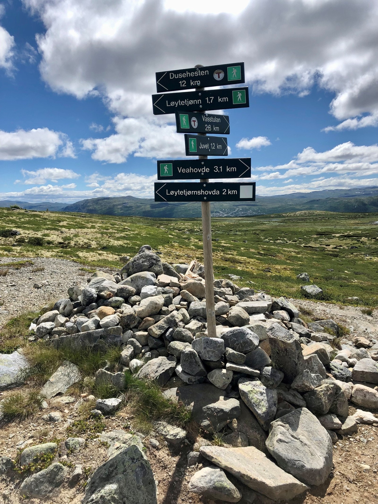 Nærområde Galleribilde