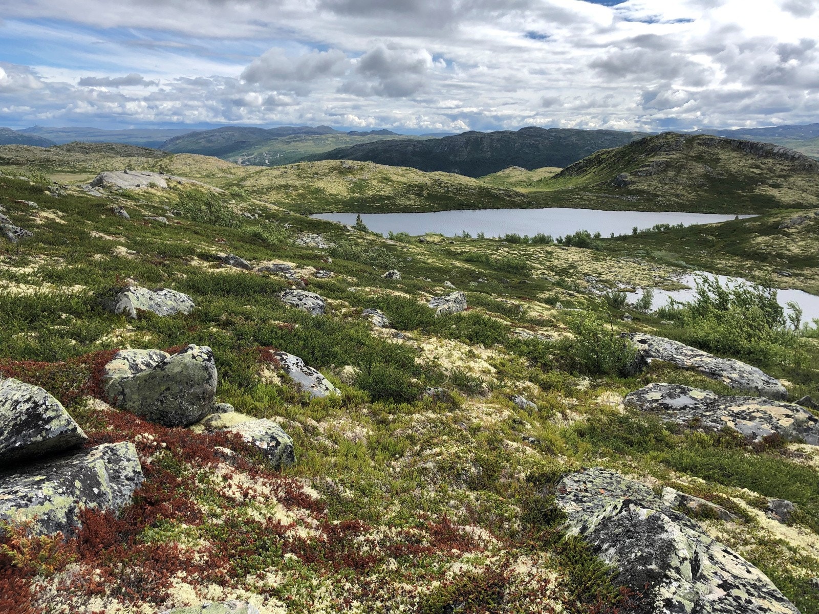 Nærområde Galleribilde