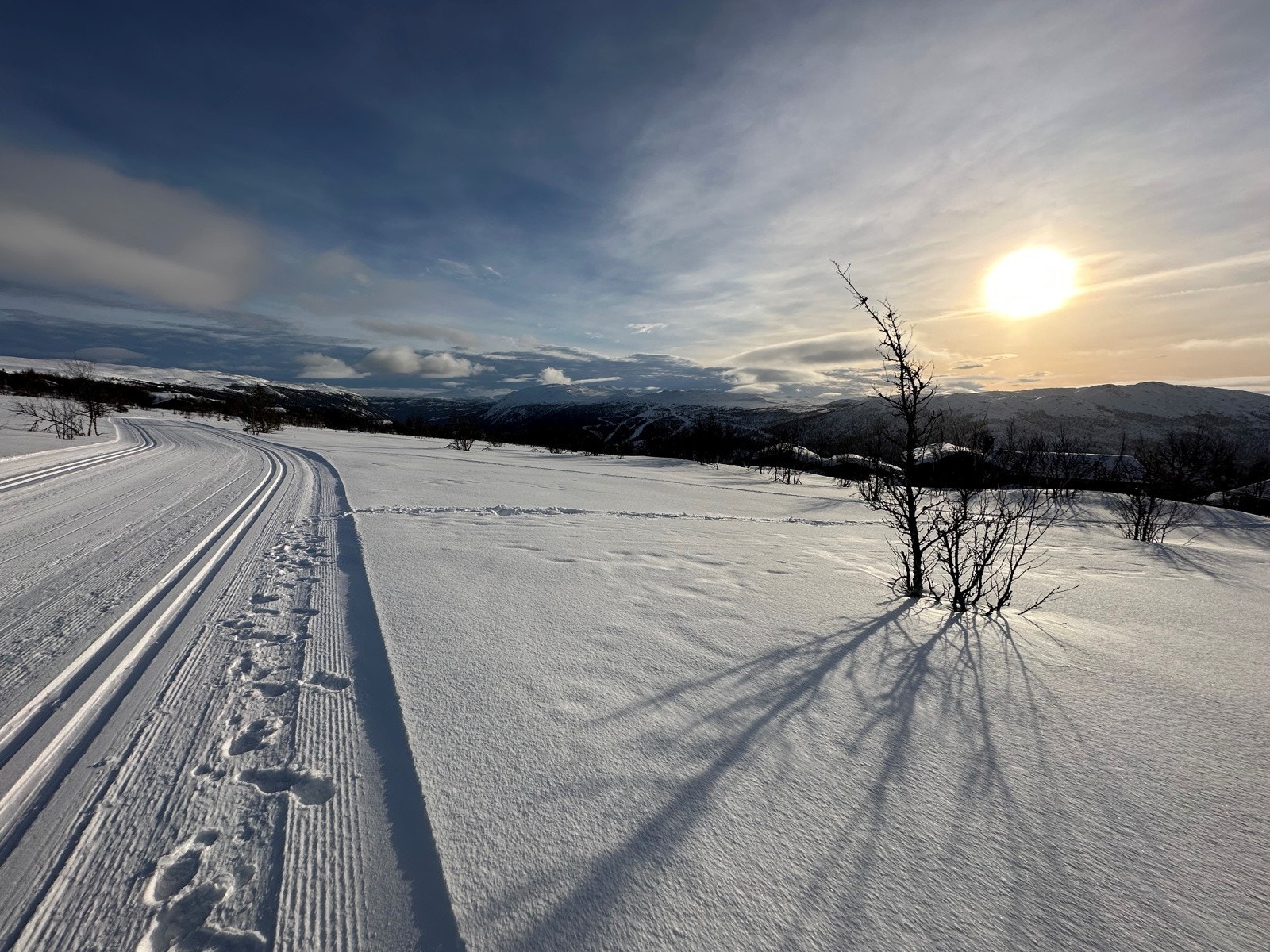 Nærområde Galleribilde