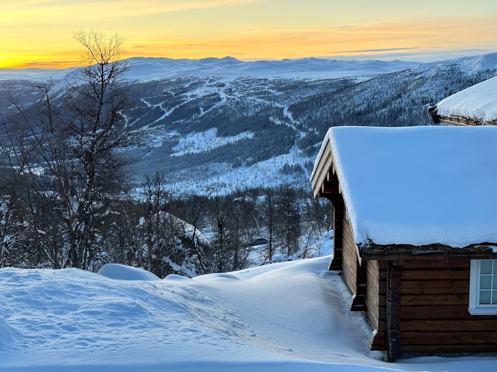 Fantastisk utsikt! Galleribilde