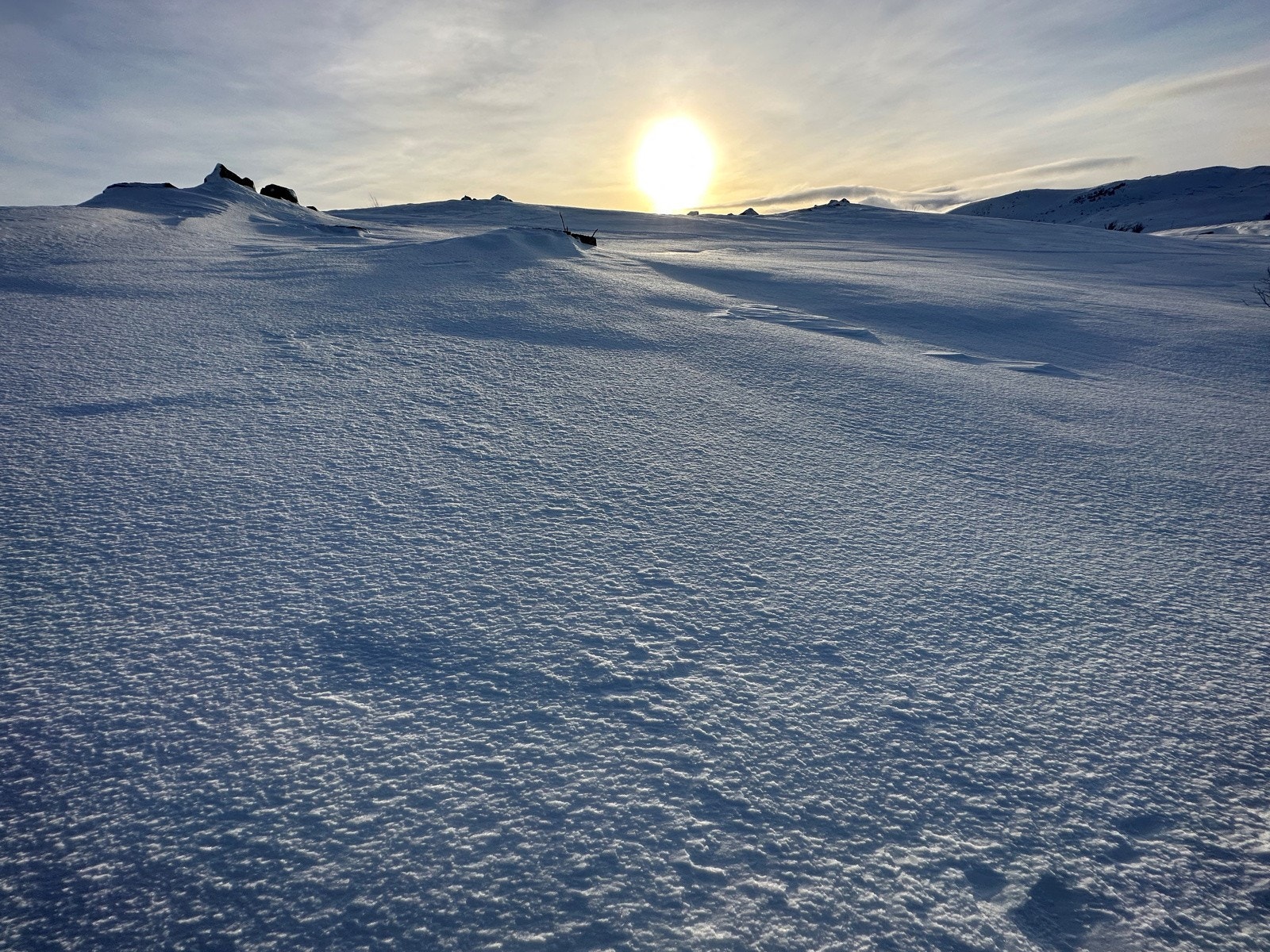 Nærområde Galleribilde