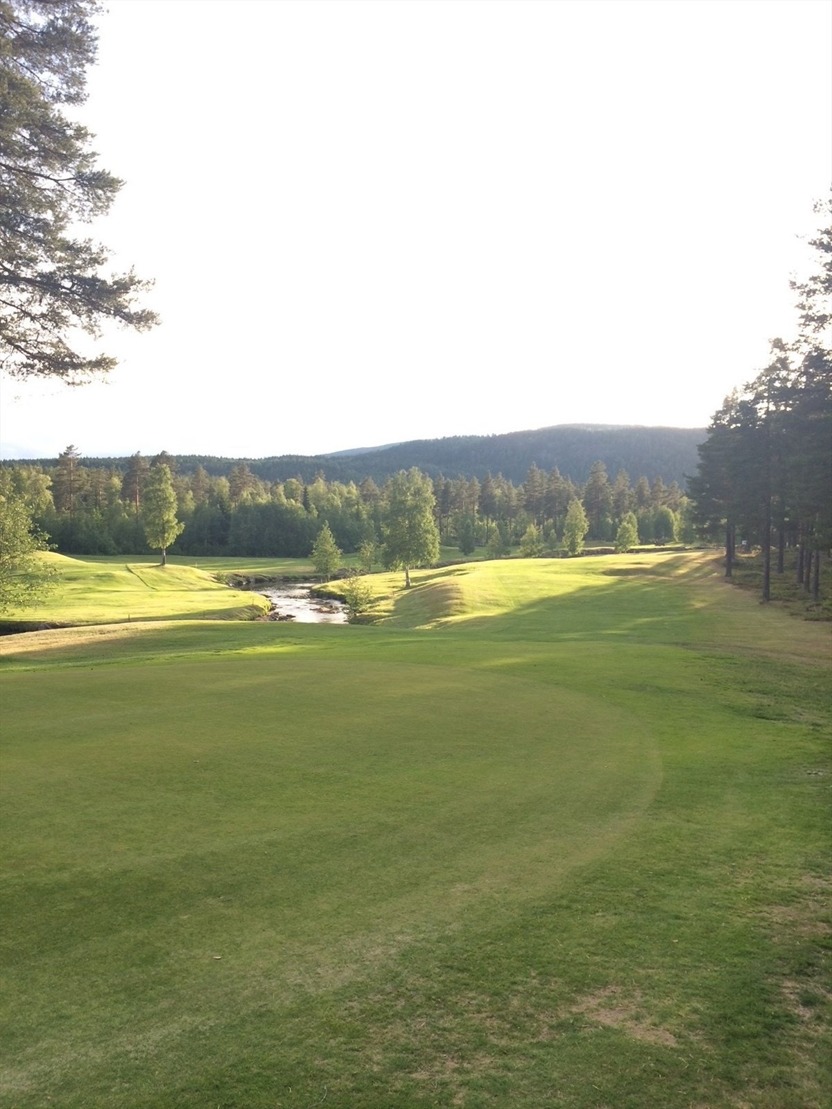 Privat bilde fra golfbanen. Galleribilde