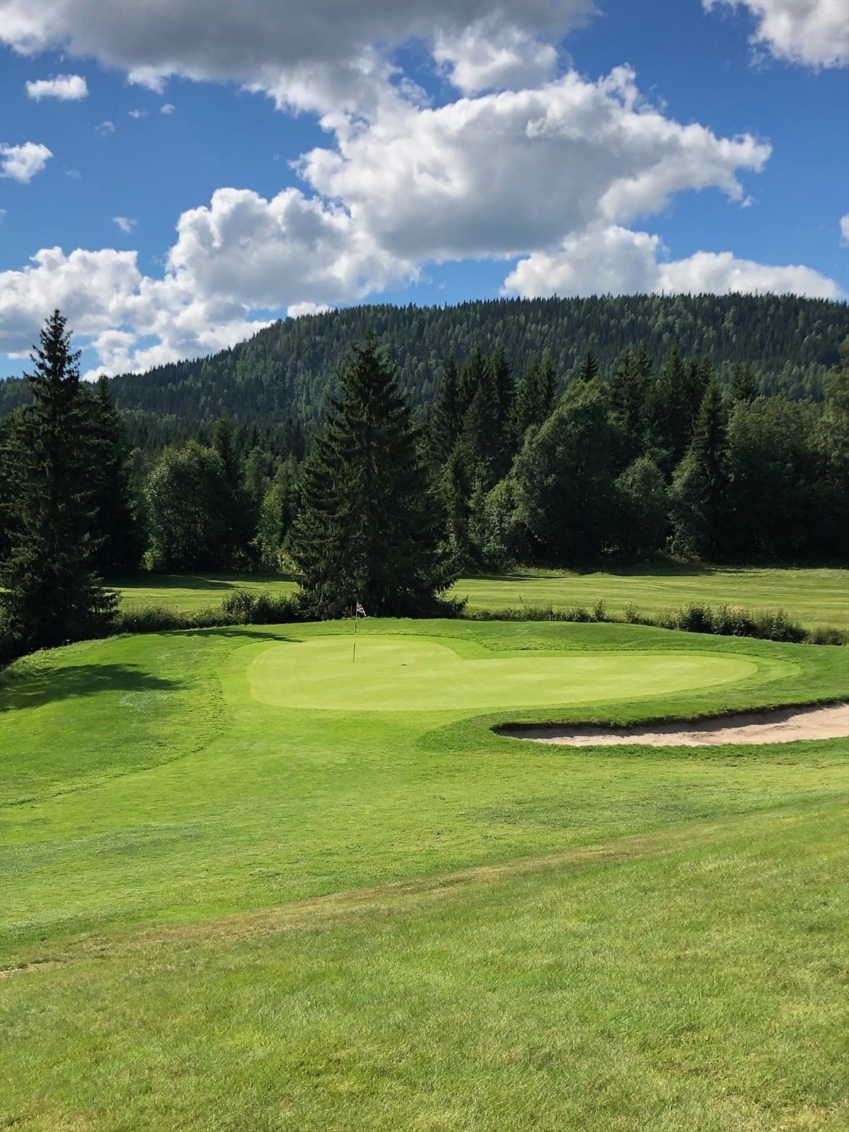Privat bilde fra golfbanen. Galleribilde