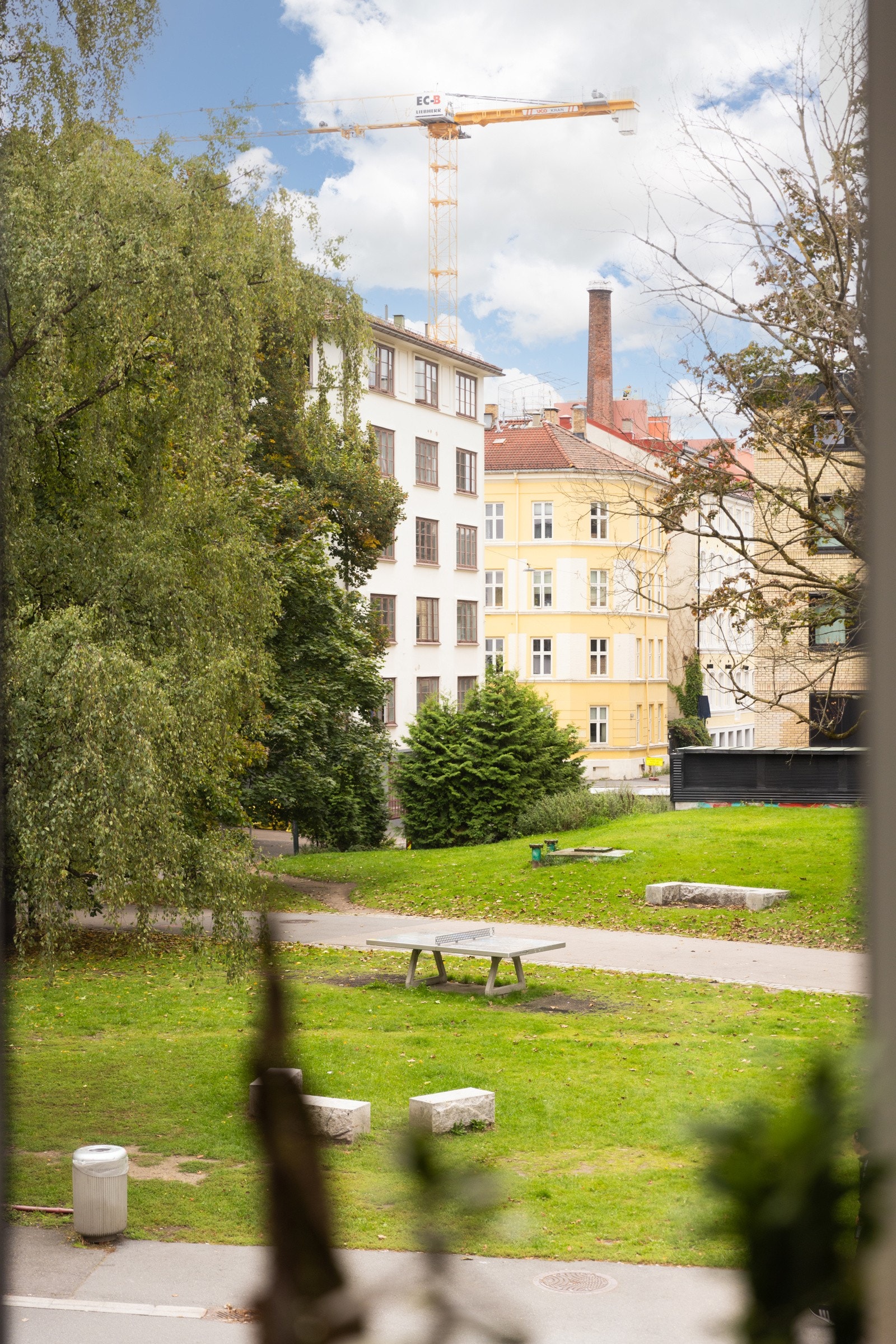 Det er store vinduer på begge sider av leiligheten med grønt utsyn. Galleribilde