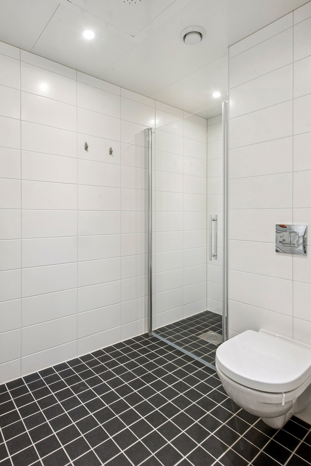 Badet er utstyrt med vegghengt toalett og en romslig dusjnisje med glassdør. Galleribilde