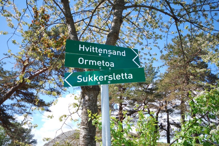 Området byr på et rikt utvalg av naturskjønne turmuligheter rett i nærheten. Galleribilde