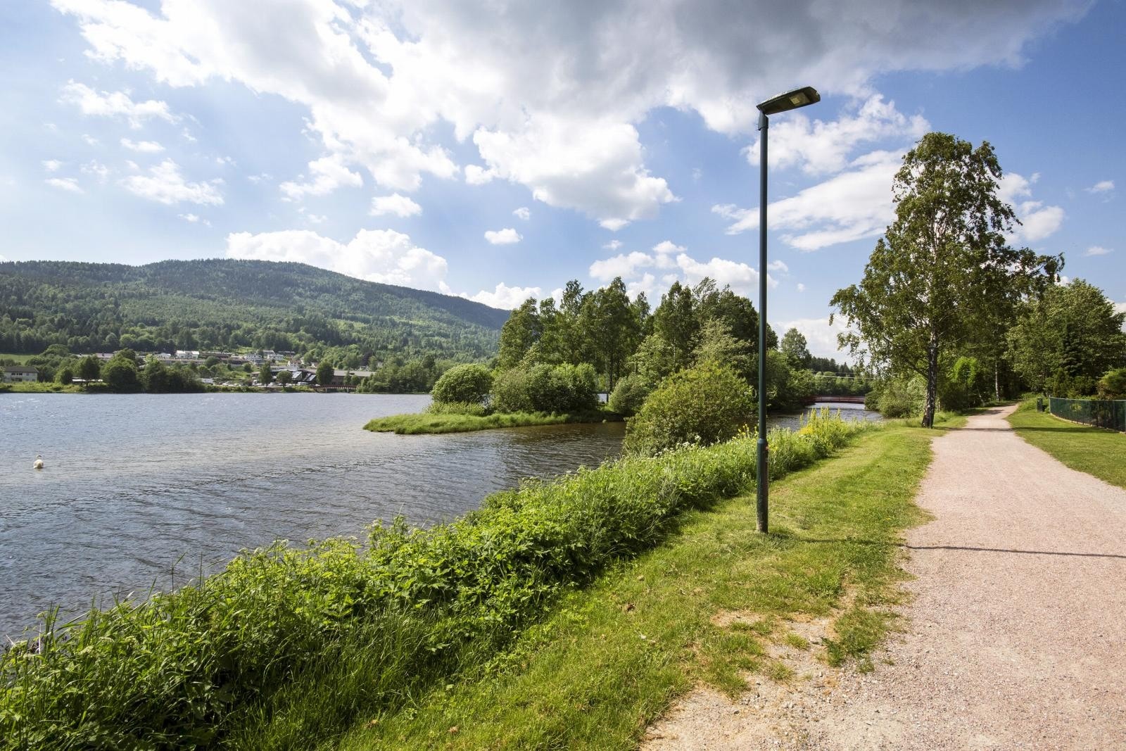 Elvepromenaden går langs elva og ned til byen omlag 5 km unna Galleribilde