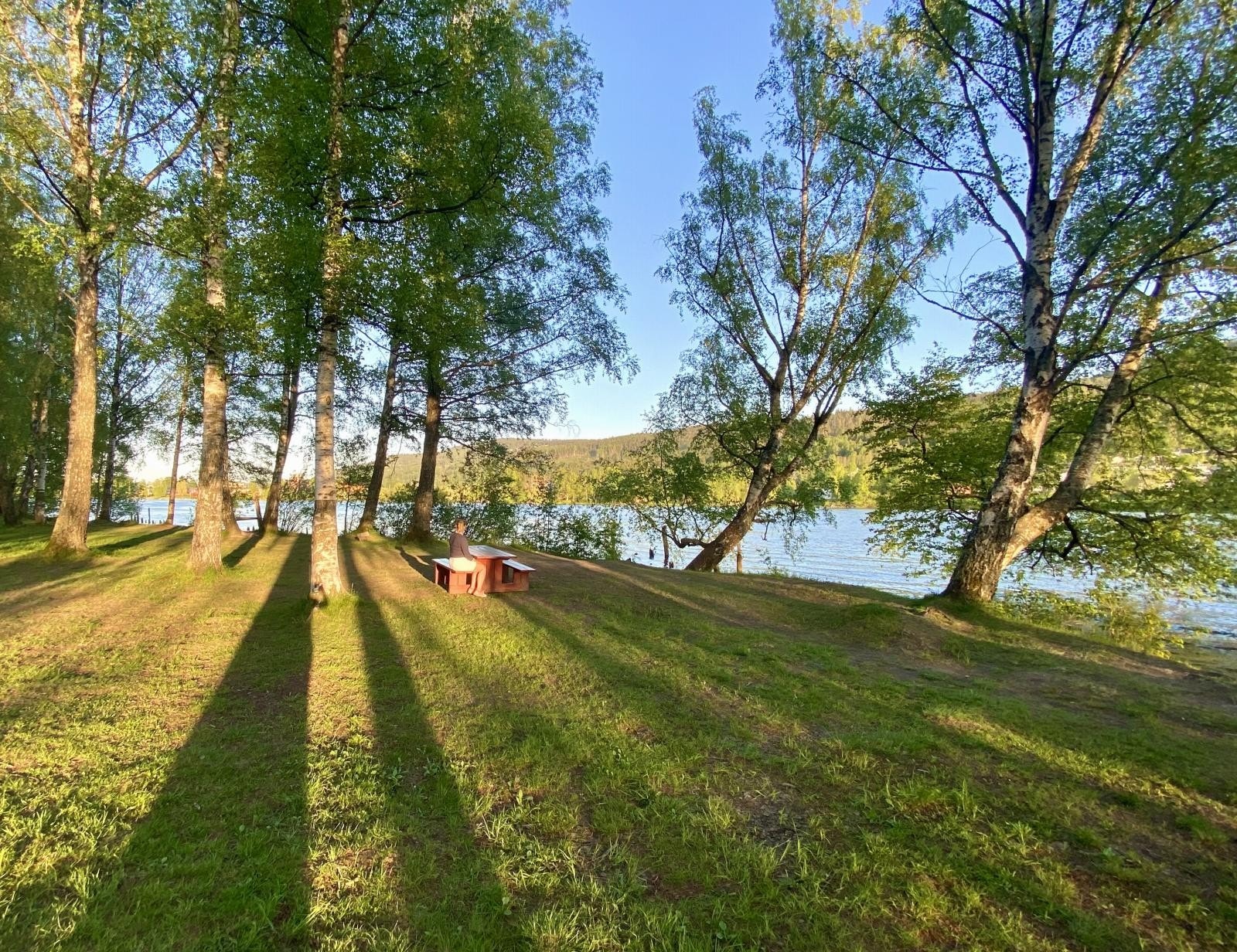Mulighet for rekreasjon på selve Pålsøya som har både sittebenker og små badestrender Galleribilde