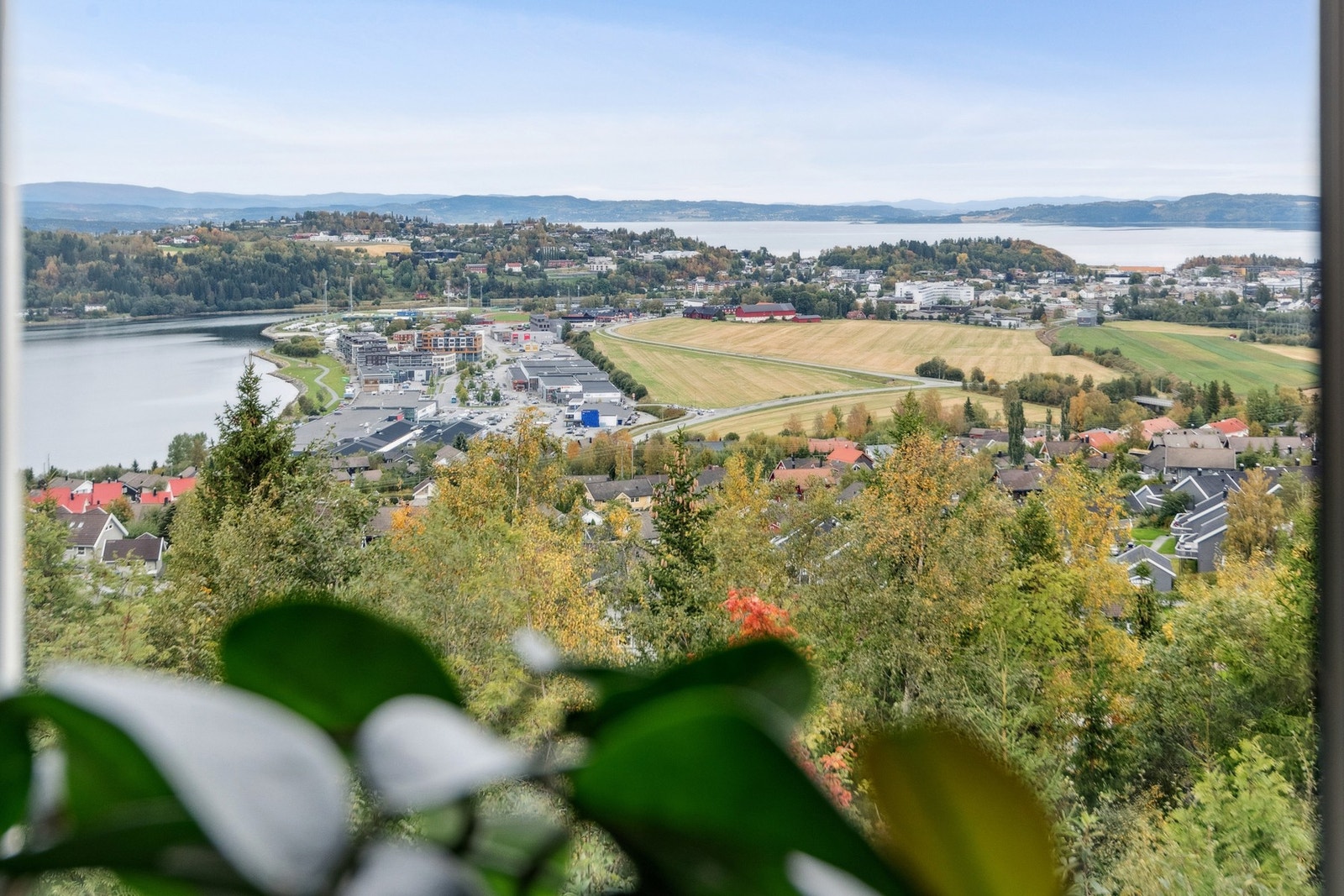 Panoramautsikt over byen, Eidsbotn og Trondheimsfjorden - en av mange kvaliteter. Galleribilde