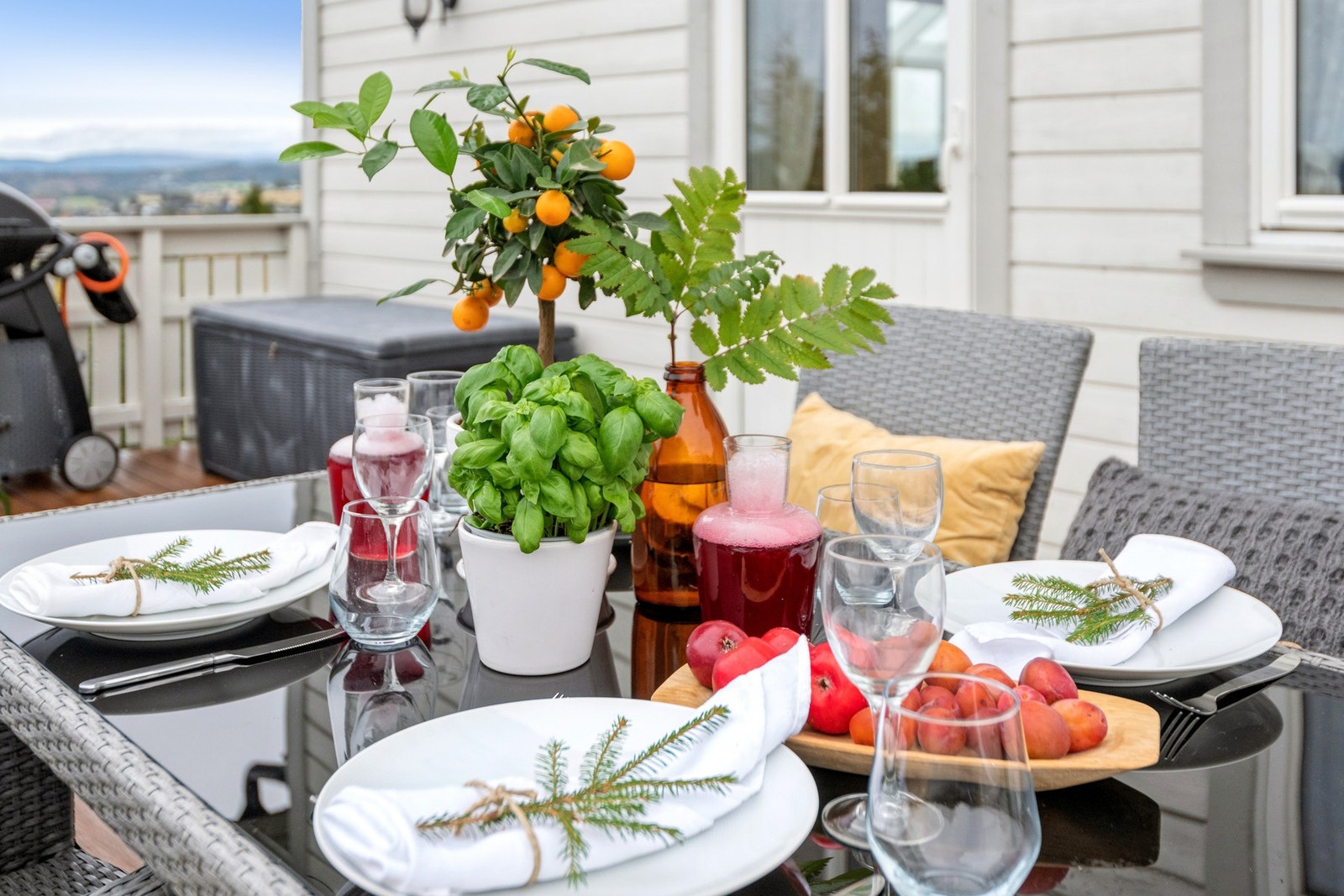 Epler og plommer fra hagen Galleribilde