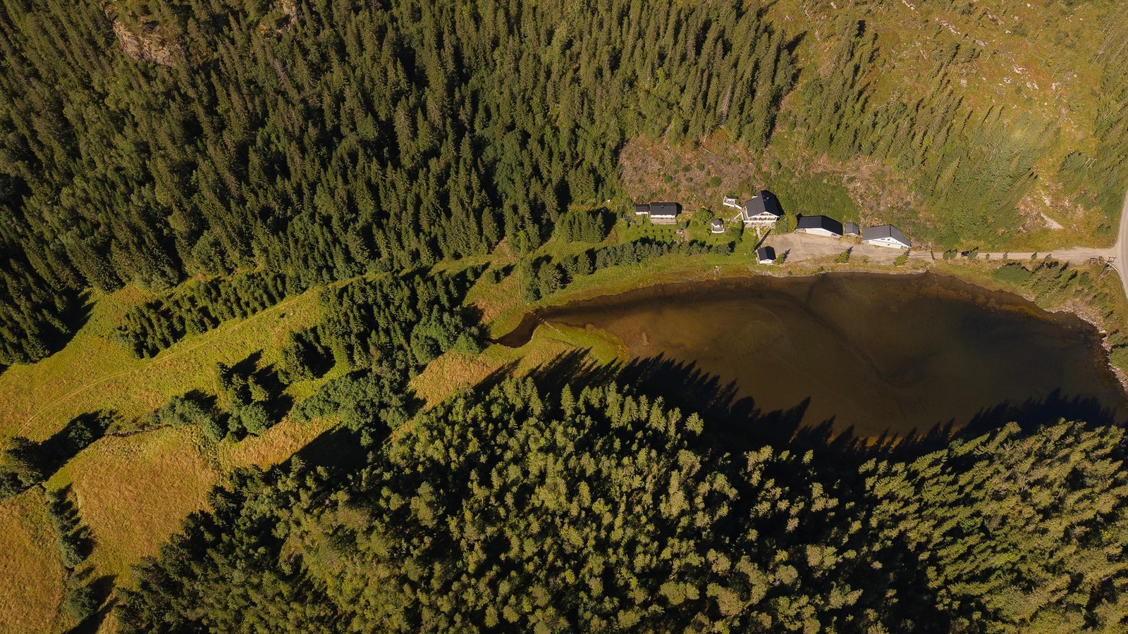 Oversiktsbilde. Galleribilde