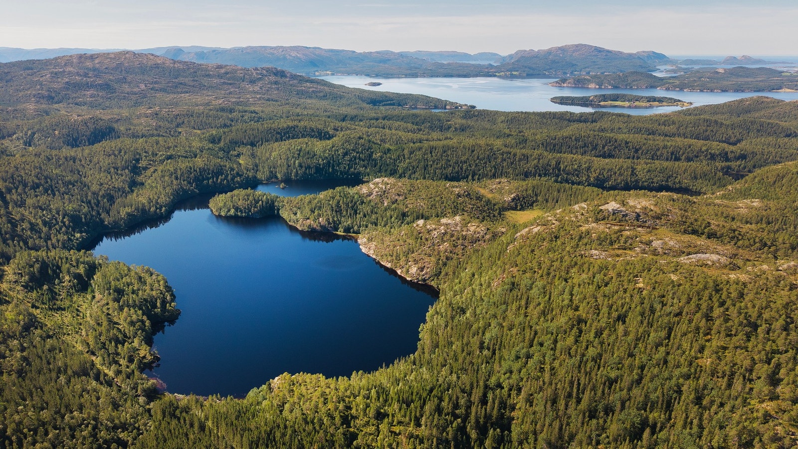 Oversiktsbilde. Galleribilde