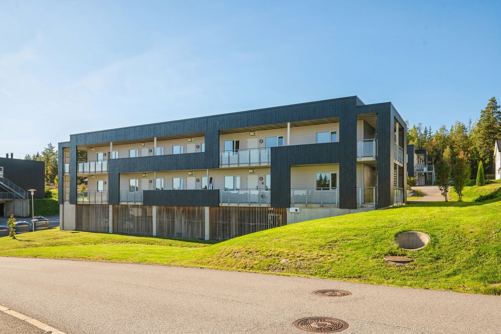 Velkommen til Sangsvanelia 10E! Galleribilde