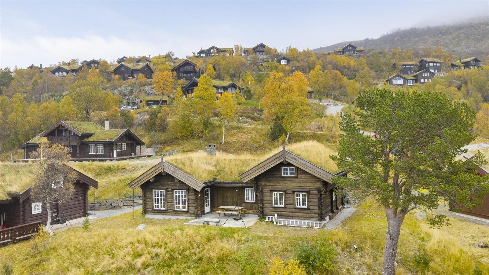 Veletablert og attraktivt hyttefelt Galleribilde