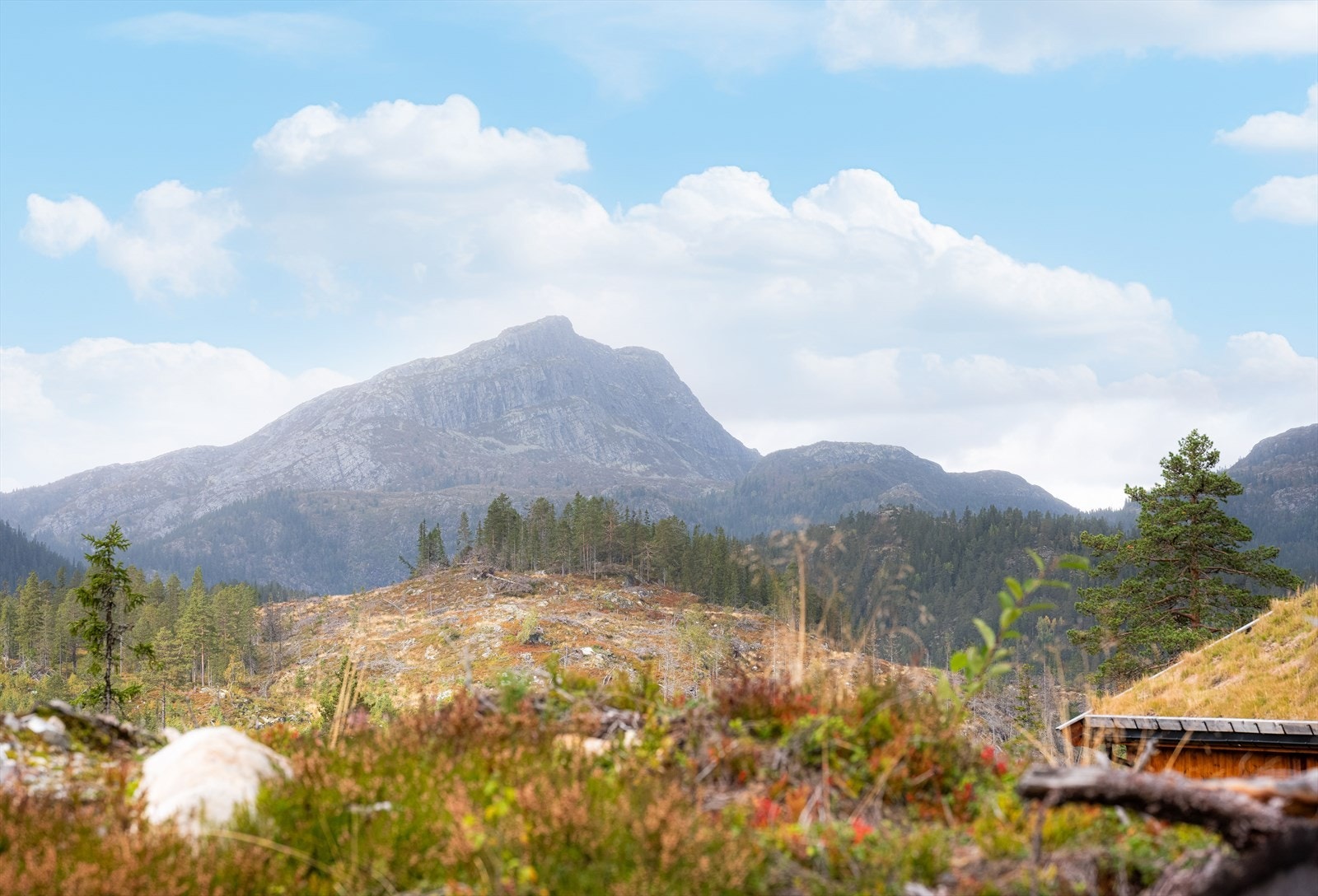 Her bor du usjenert og idyllisk, med flotte turområder rett utenfor døren. Galleribilde
