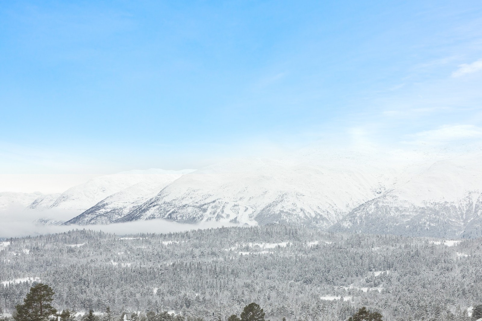 Flott utsikt over snøkledde fjell Galleribilde