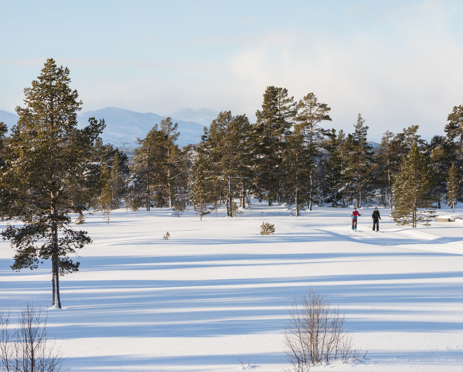 Rauland kan også by på ca 150 med preparerte langrennsløyper i varierende terreng Galleribilde