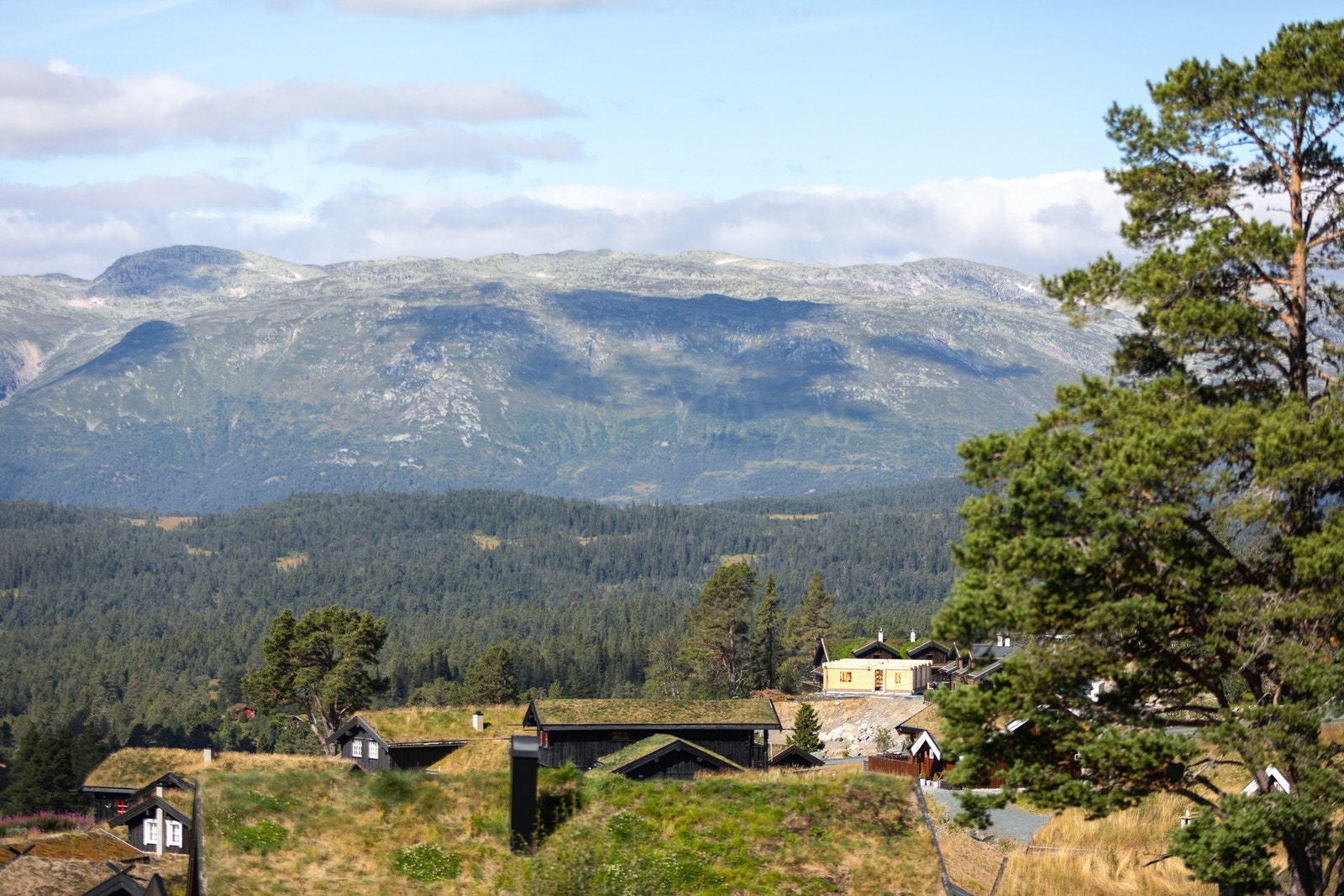 Utsikt på sommerstid fra verandaen Galleribilde