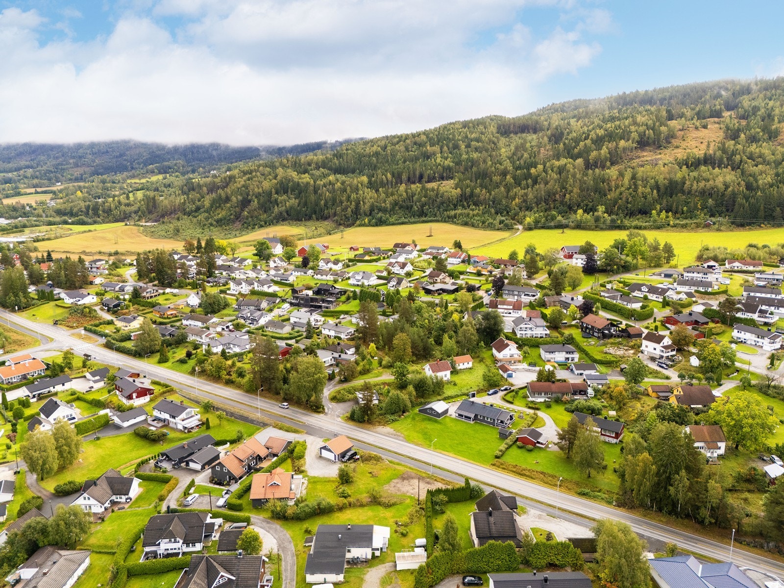 Velkommen til visning! Galleribilde