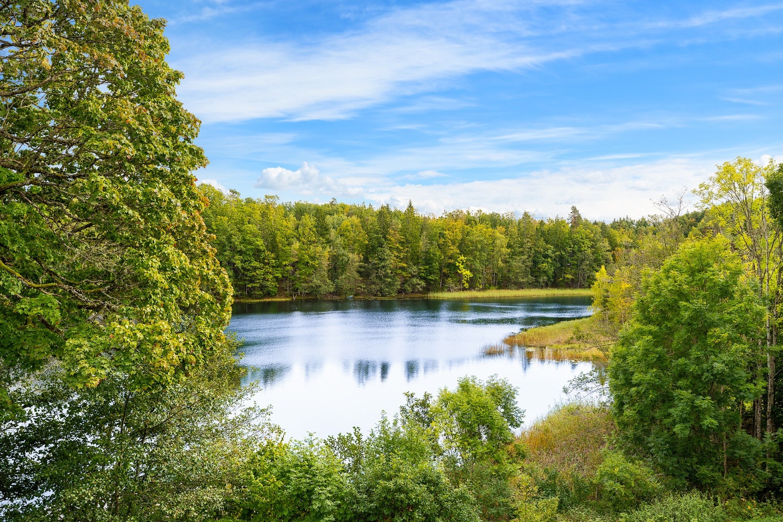 Og nydelig utsikt. Galleribilde