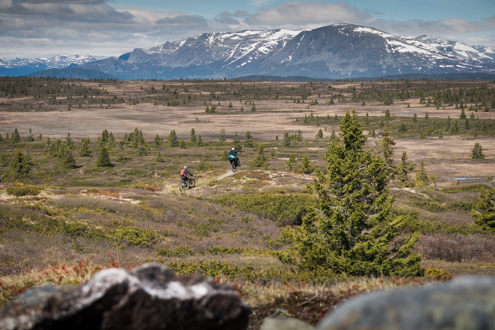 Foto: Bjørn Jarle Kvande - Golsfjellet Galleribilde