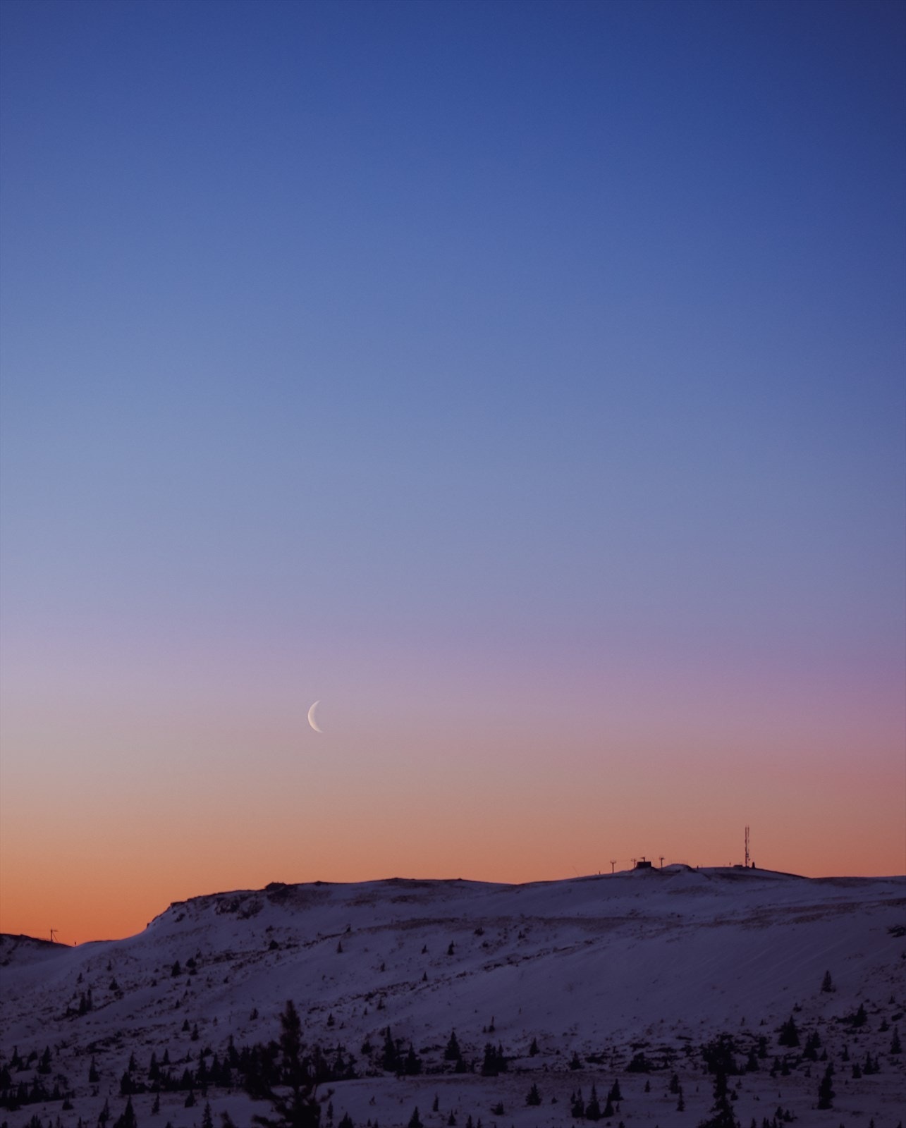 Foto: Enya Johnsen - Golsfjellet Galleribilde