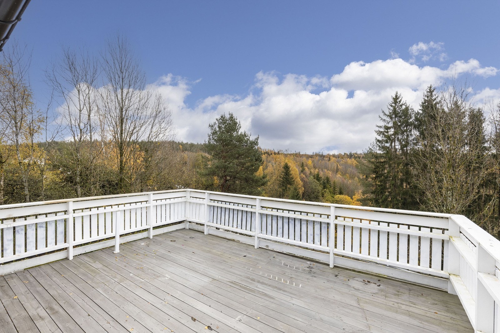 Romslig og solrik veranda Galleribilde