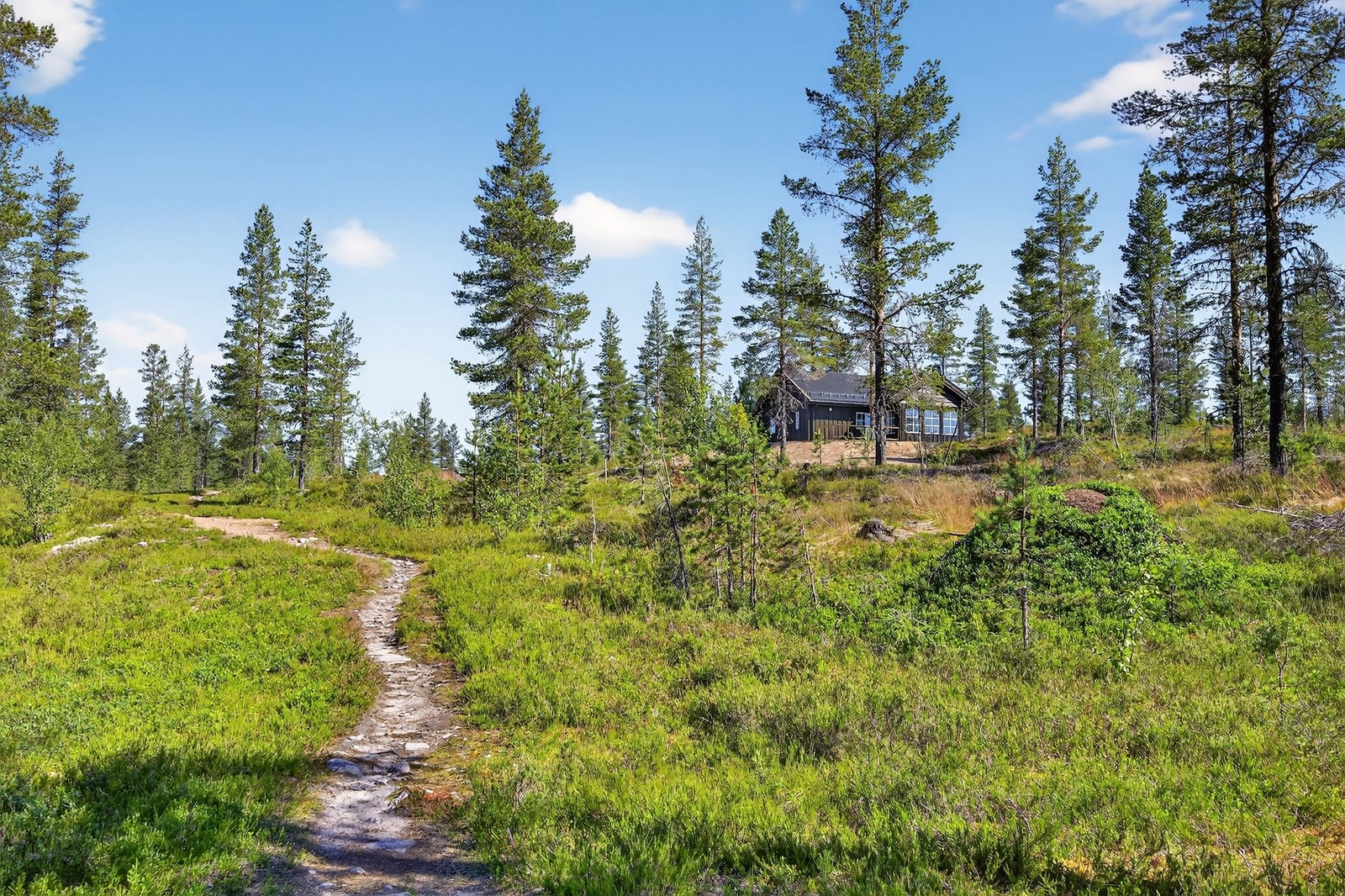 Det er mange fine turstier i nærheten på sommerstid. Galleribilde