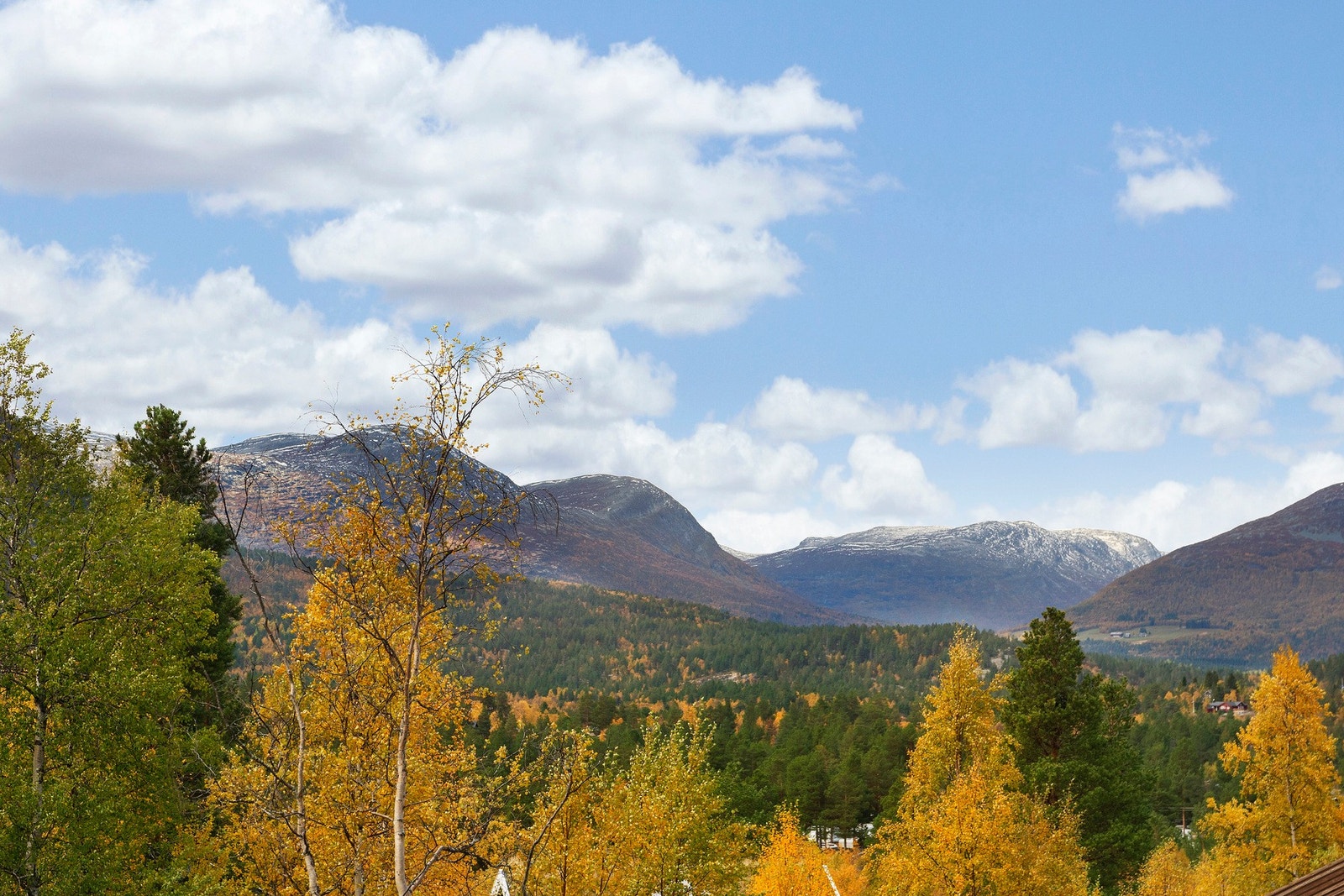 Utsikt i retning Rånåkollen, Asbjørndalen, Skarvehøye og Nonshøe. Galleribilde