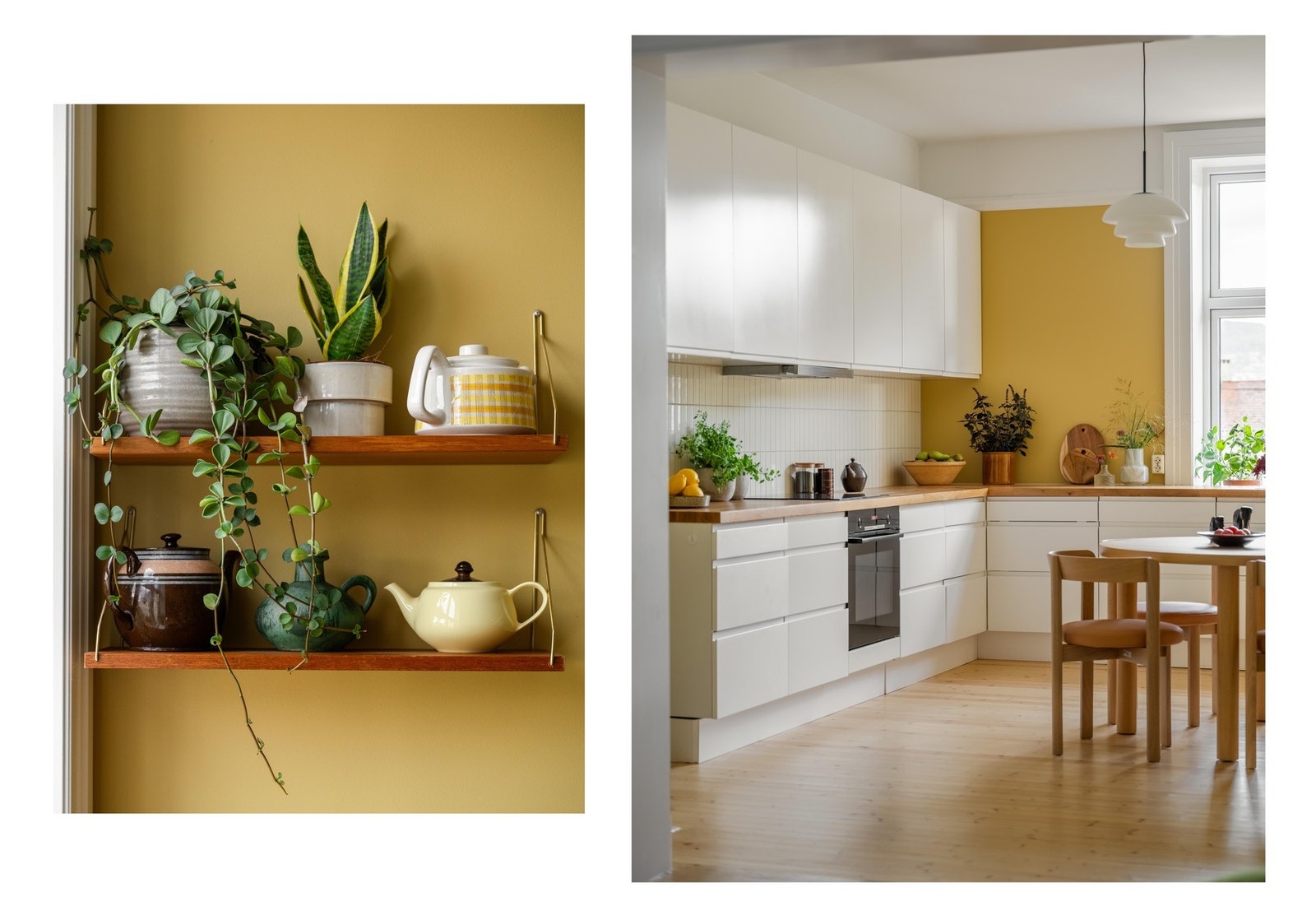 Om du fortsatt ikke er overbevist kliner vi til med en hylle med små planter vi da. Galleribilde