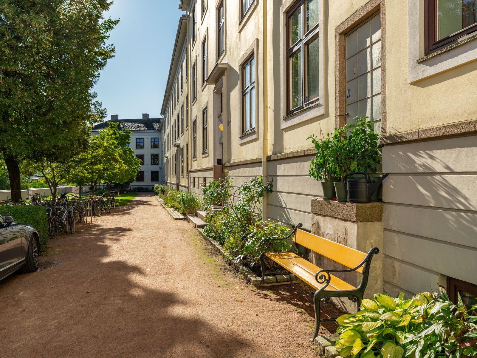 Dette er altså din nye bakgård! Ganske fint eller hva? Galleribilde