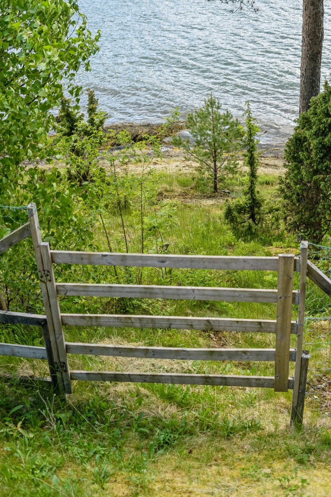 Det er også meget kort veg frå hytta ned til fjorden Galleribilde