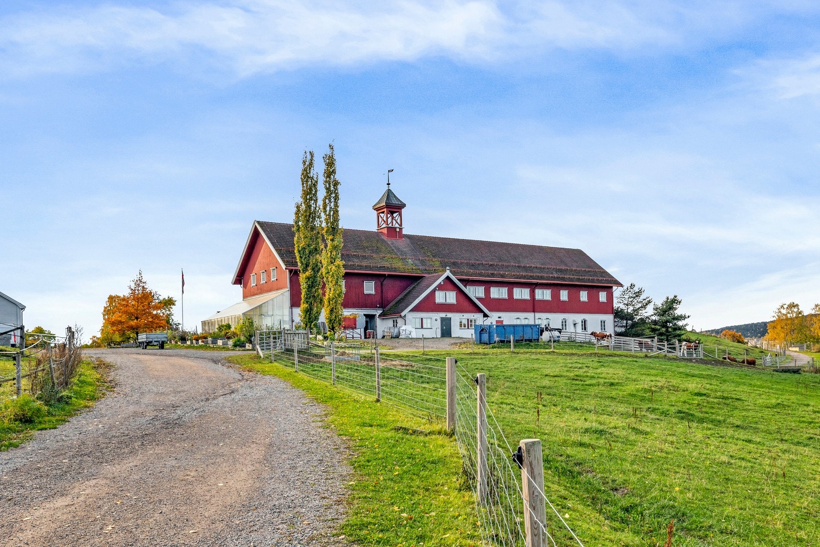 Nordre Lindeberg gård kan anbefales et besøk - gården er en besøksgård med et allsidig husdyrhold Galleribilde