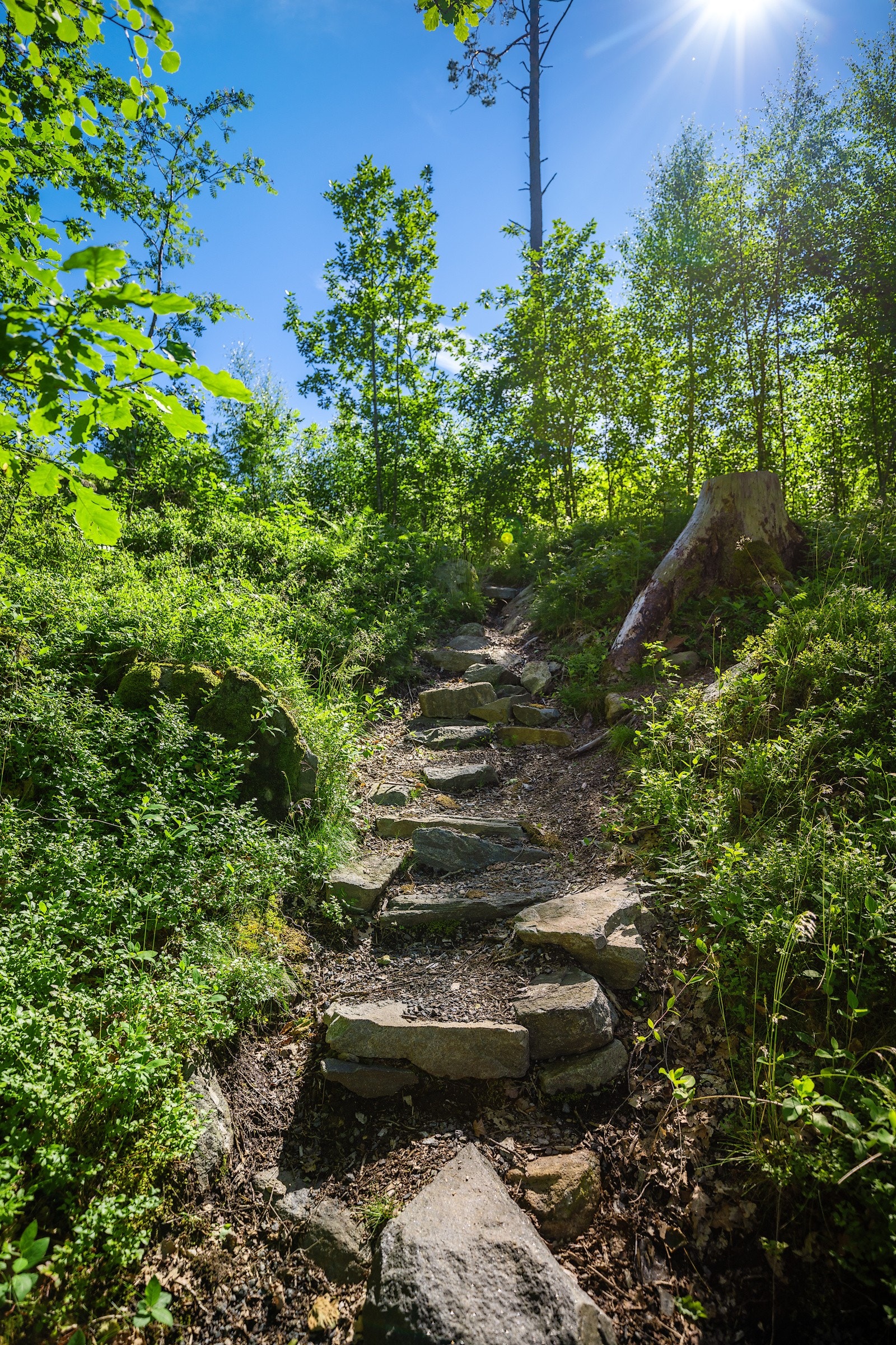 Hyggelige stier som også leder til "Lille Danmark", en populær badestrand like ved Galleribilde